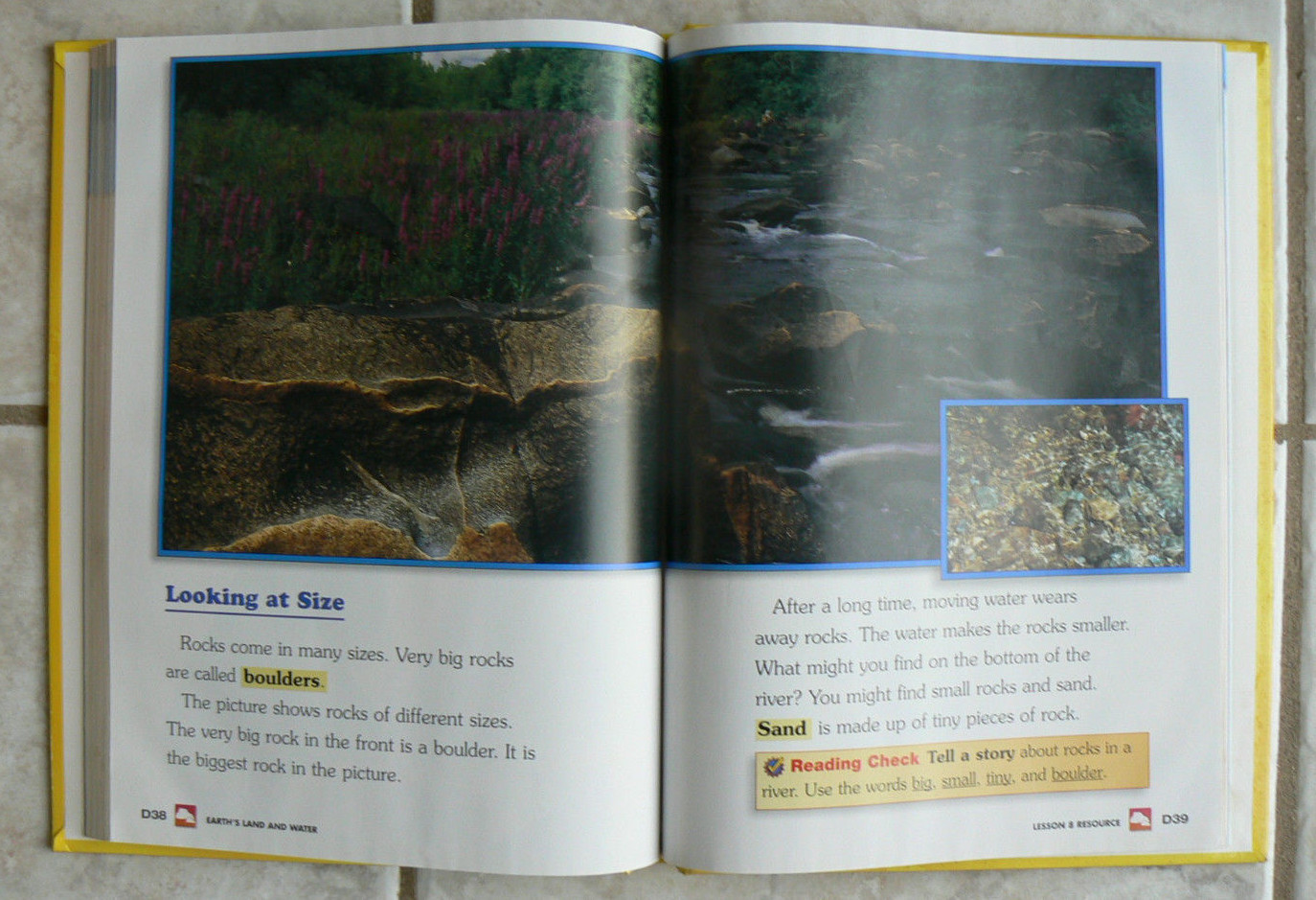Houghton Mifflin SCIENCE gr. 1/1st text 2000 NICE! Discovery Works