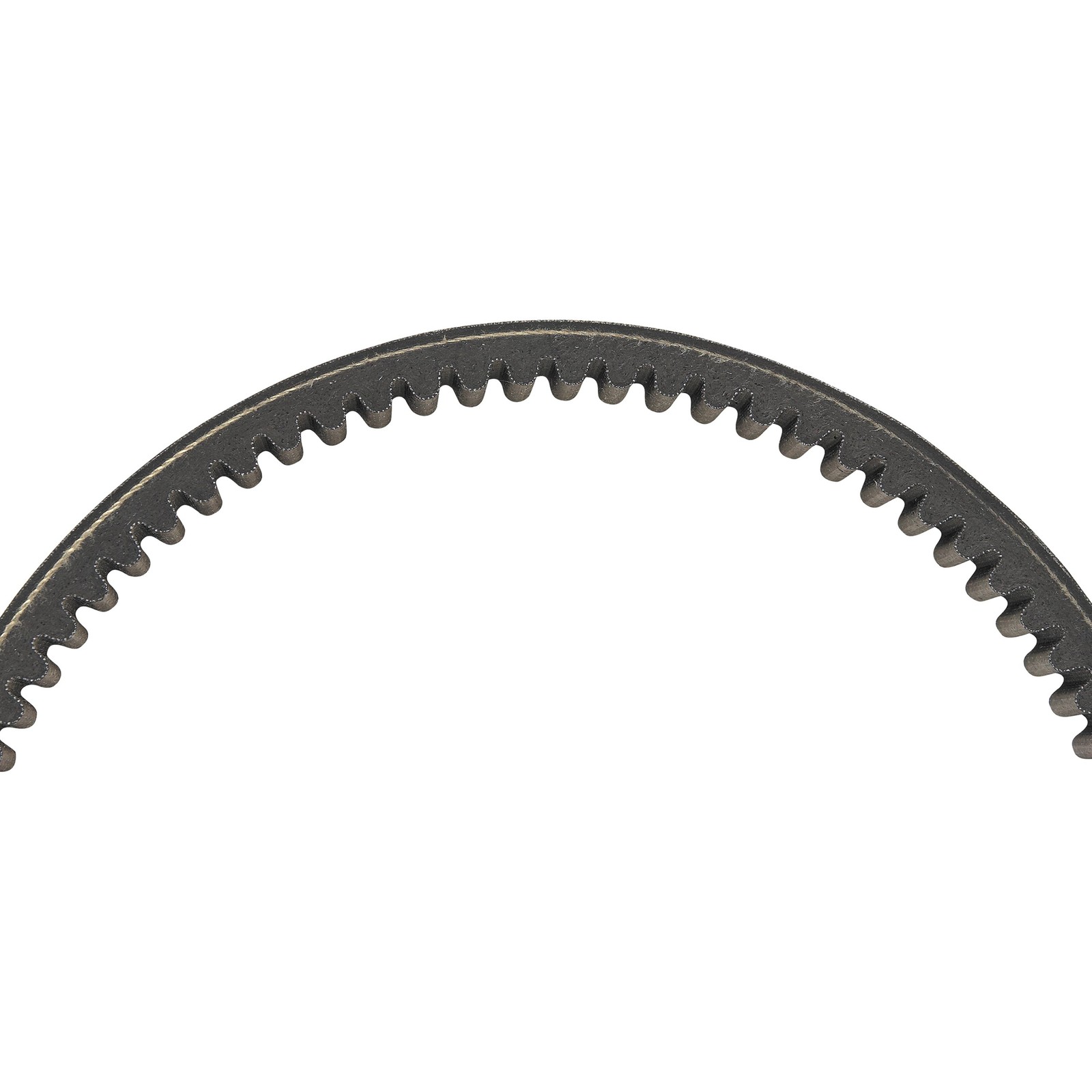EPI Performance Standard Belt