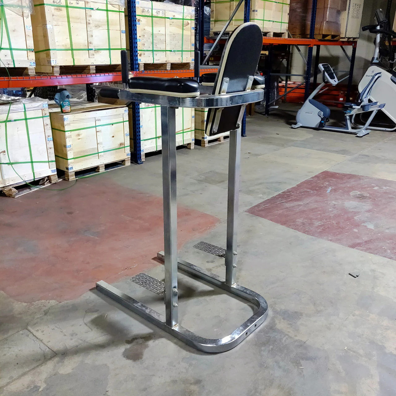 Vertical Knee Raise and Dip Station