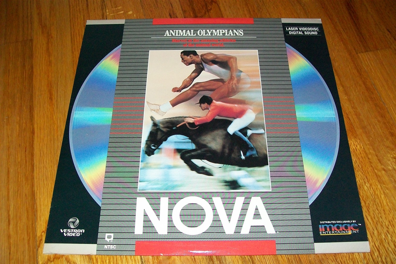 NOVA: ANIMAL OLYMPIANS Laserdisc LD EXCELLENT CONDITION VERY RARE GREAT VIDEO!