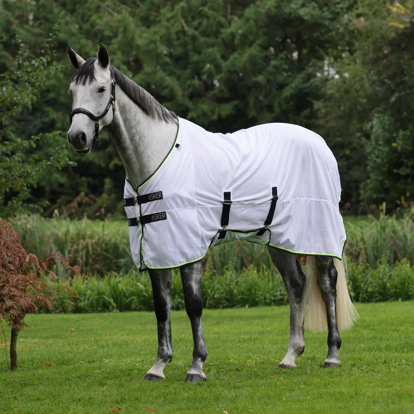 Shires Asker Fly Sheet - White Breathable Mesh Horse Fly Protection - Multiple