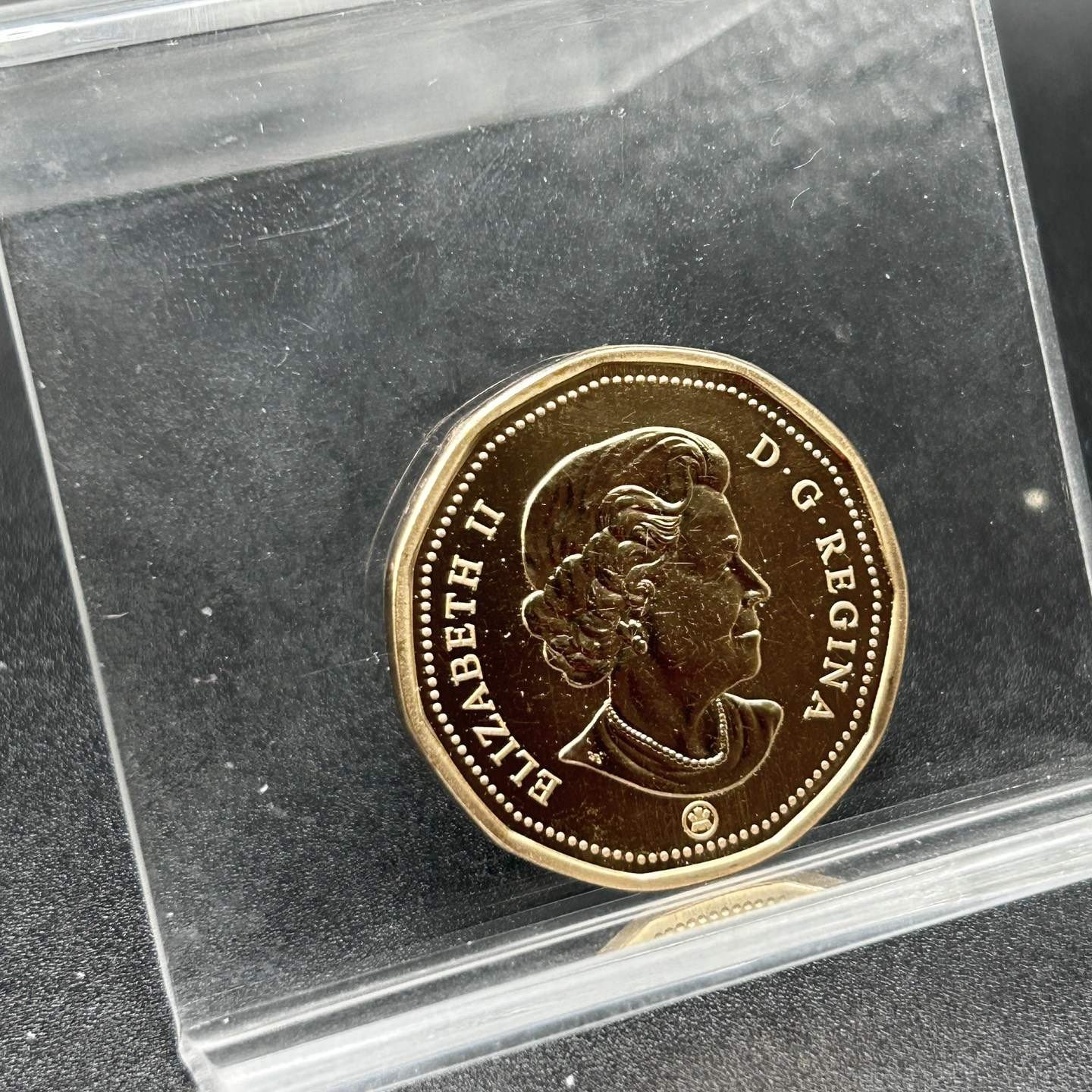 2008 Canada Specimen Common Eider Loonie High Grade - coin only