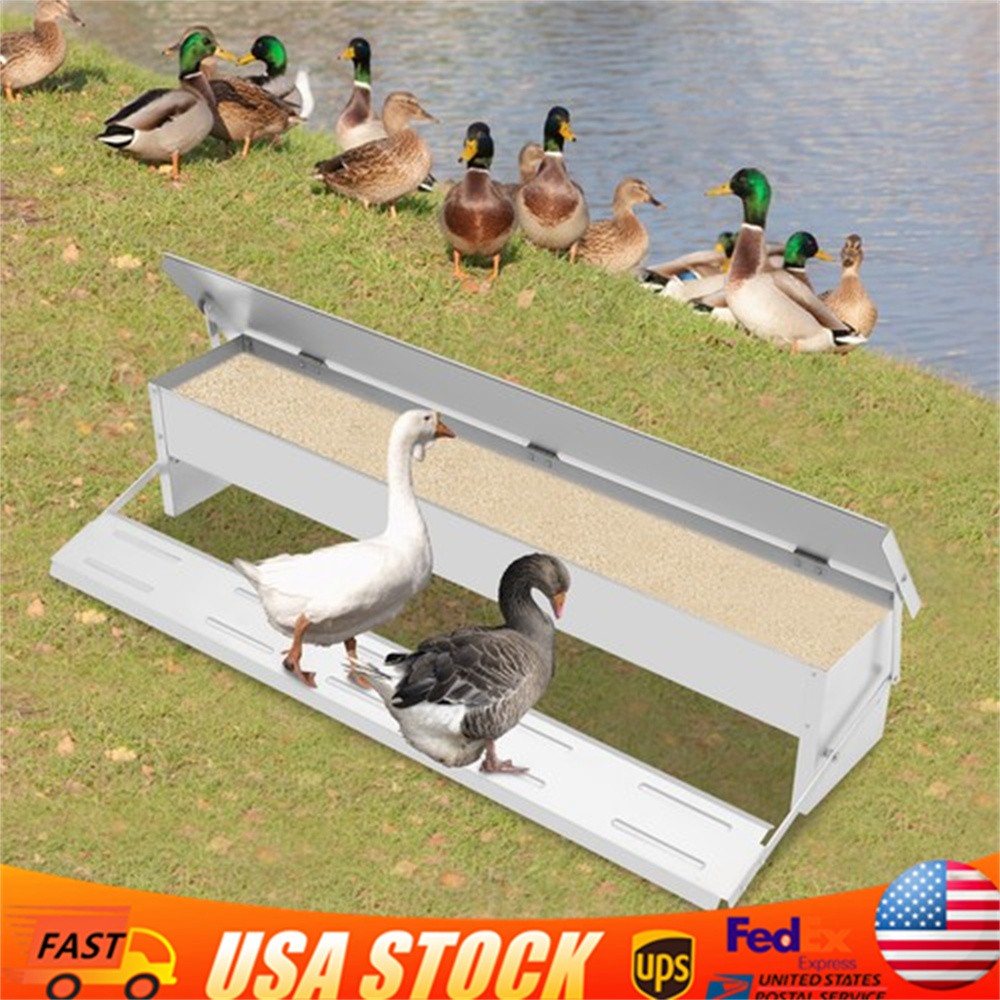 Automatic Chicken Feed Trough Feeder Poultry Trough Chicken Feeder Floor Stand