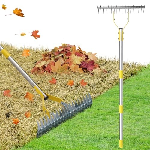 Thatch Rake, 2 in 1 Stainless Steel Garden Rake for Thatch Leaves,55” Heavy 55"