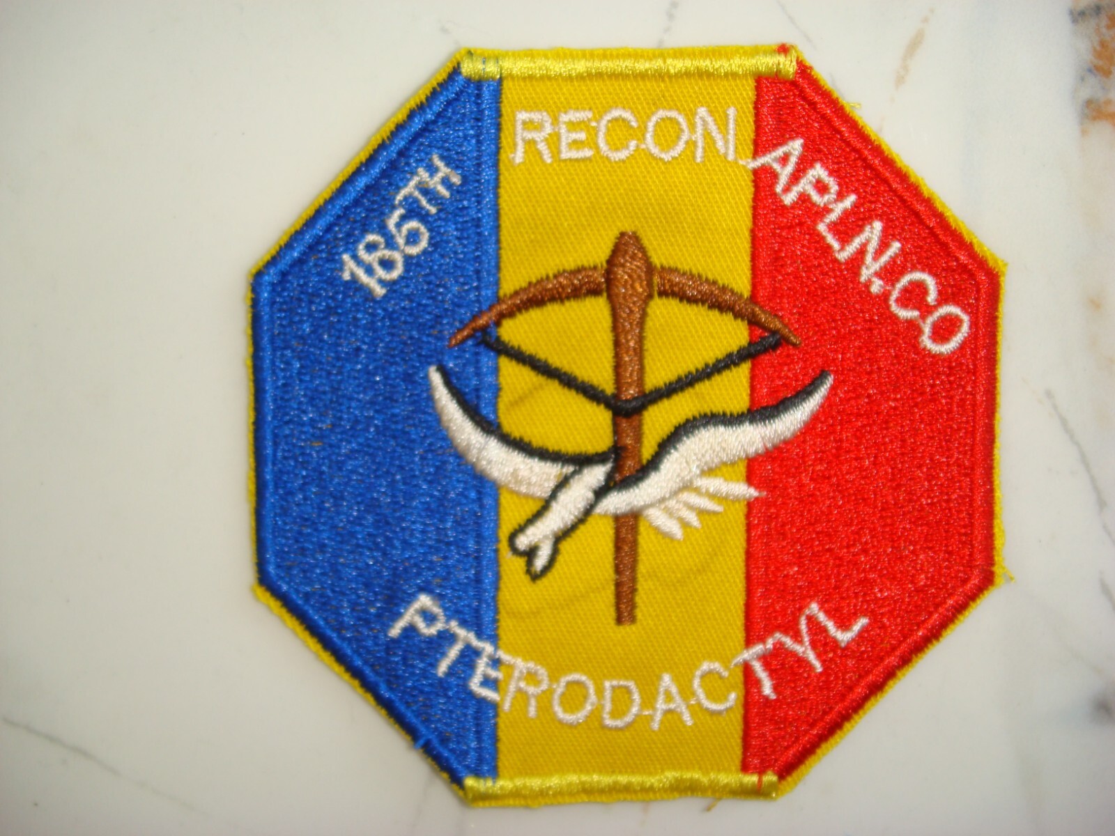 US 185th RECON AIRPLANE COMPANY "PTERODACTYL", VIETNAM WAR PATCH