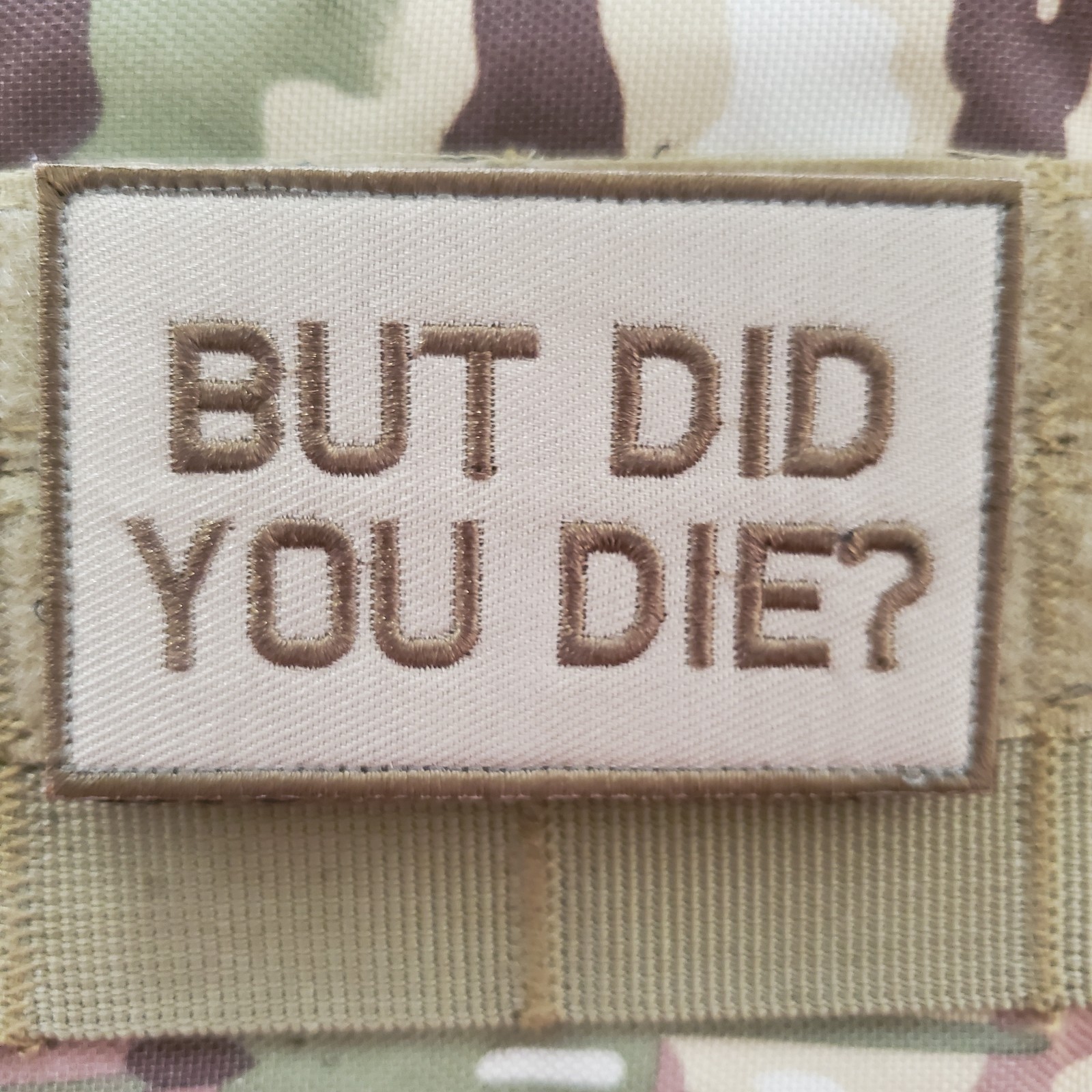 BUT DID YOU DIE Embroidered Tactical Morale Patch Hook and Loop