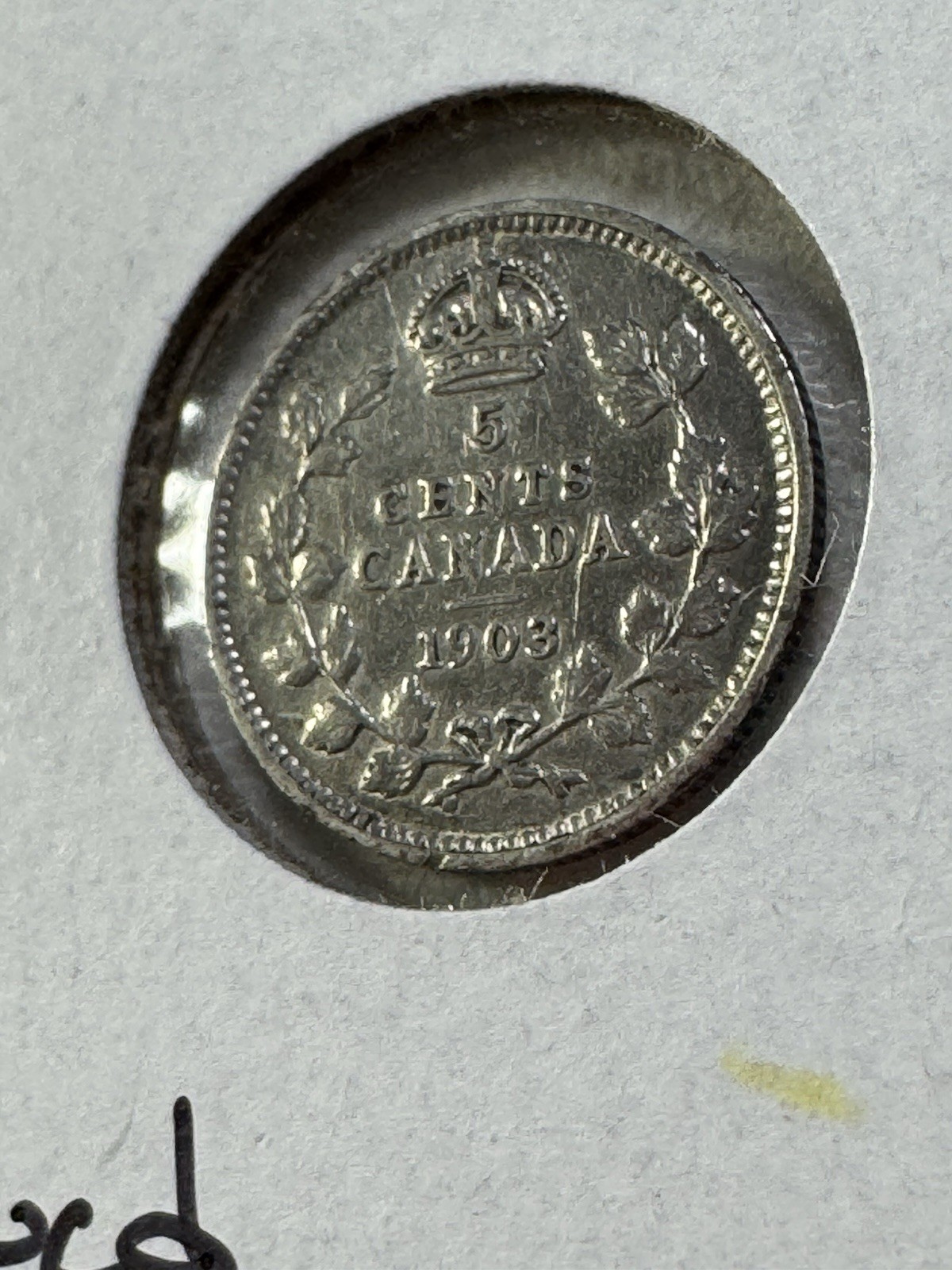 1903 Canada 5 Cents Small Silver Coin Cleaned