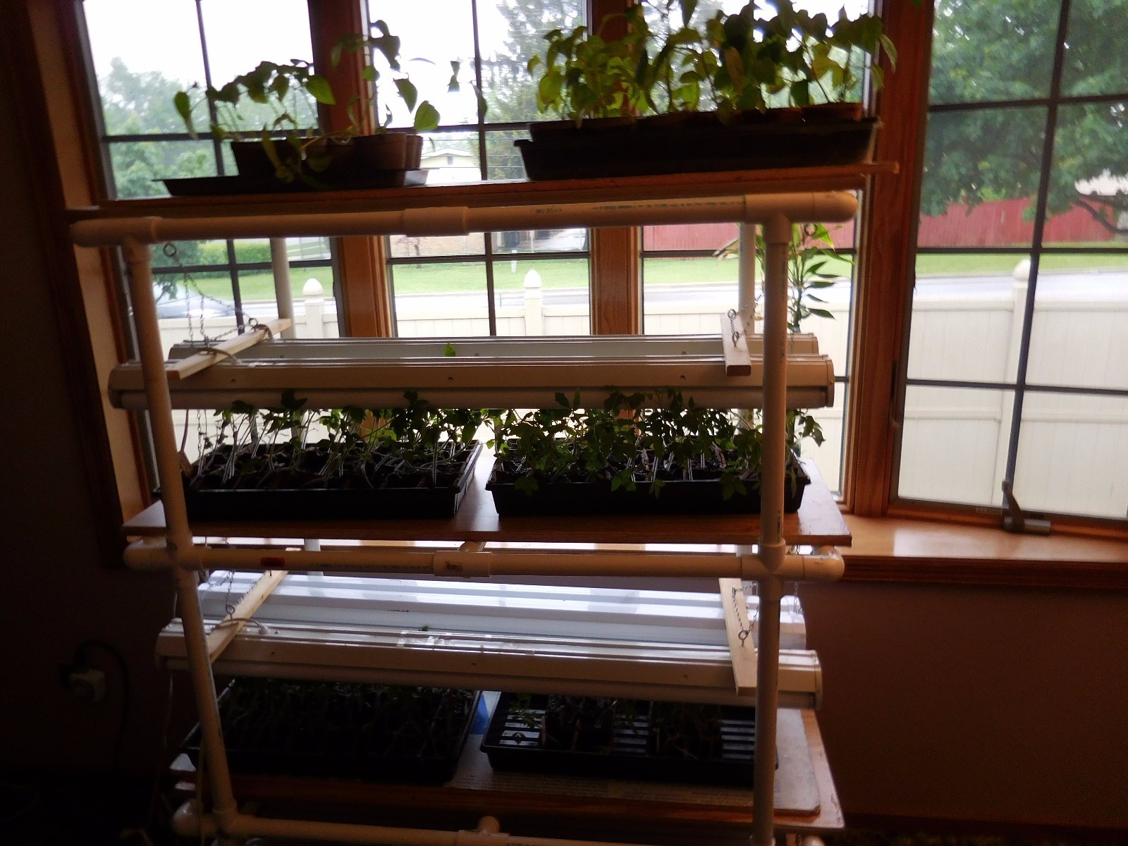 seed starting light stand plus bonus