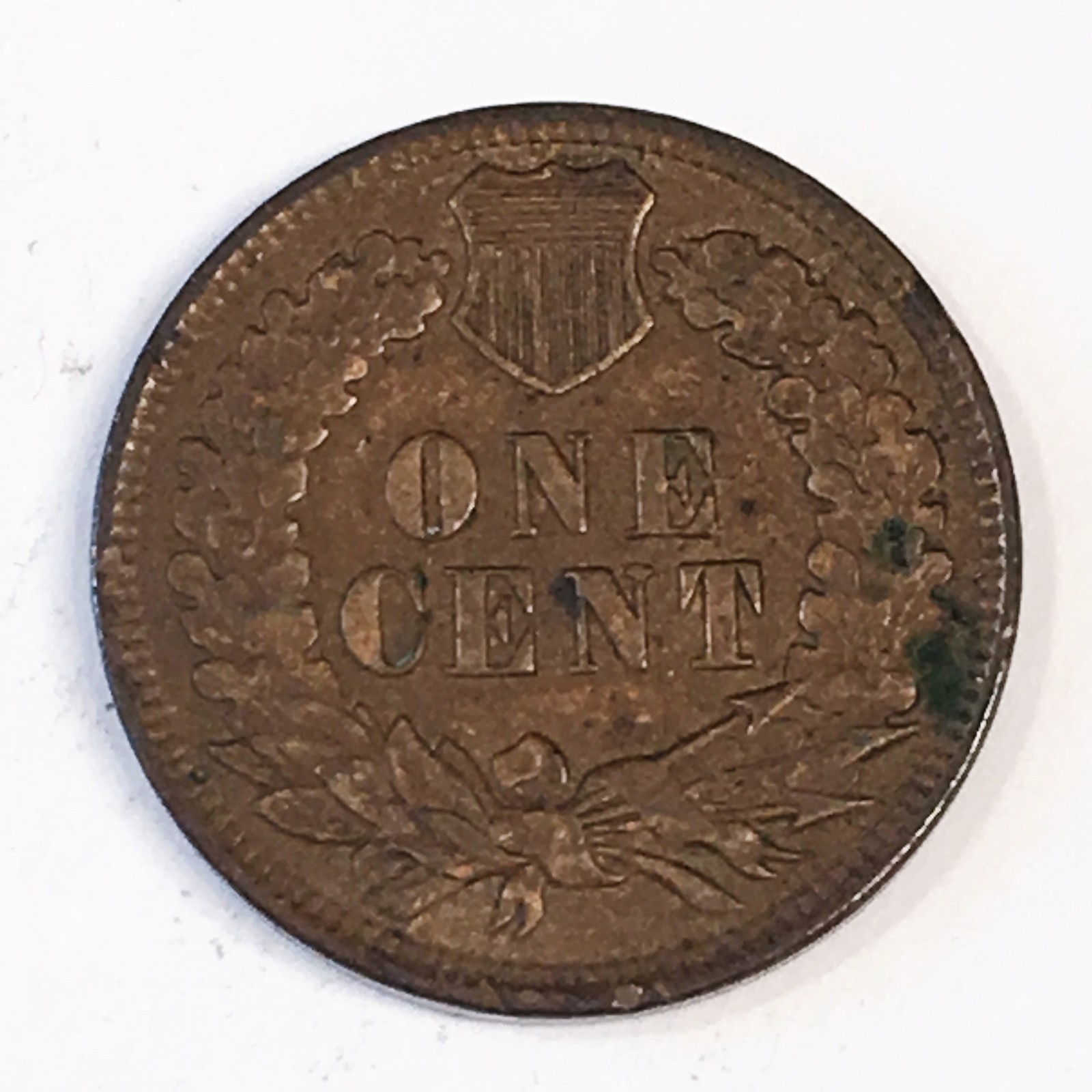 1901 Indian Cent - High Quality Scans #C788