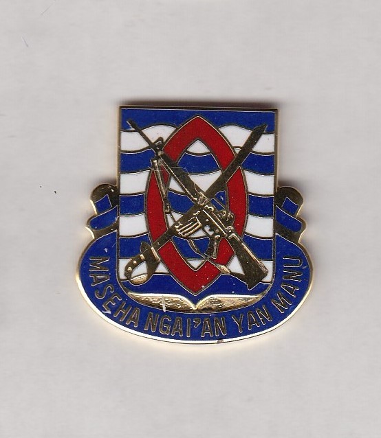 US ARMY 294th INFANTRY REGIMENT crest DUI badge c/b clutchback G-23