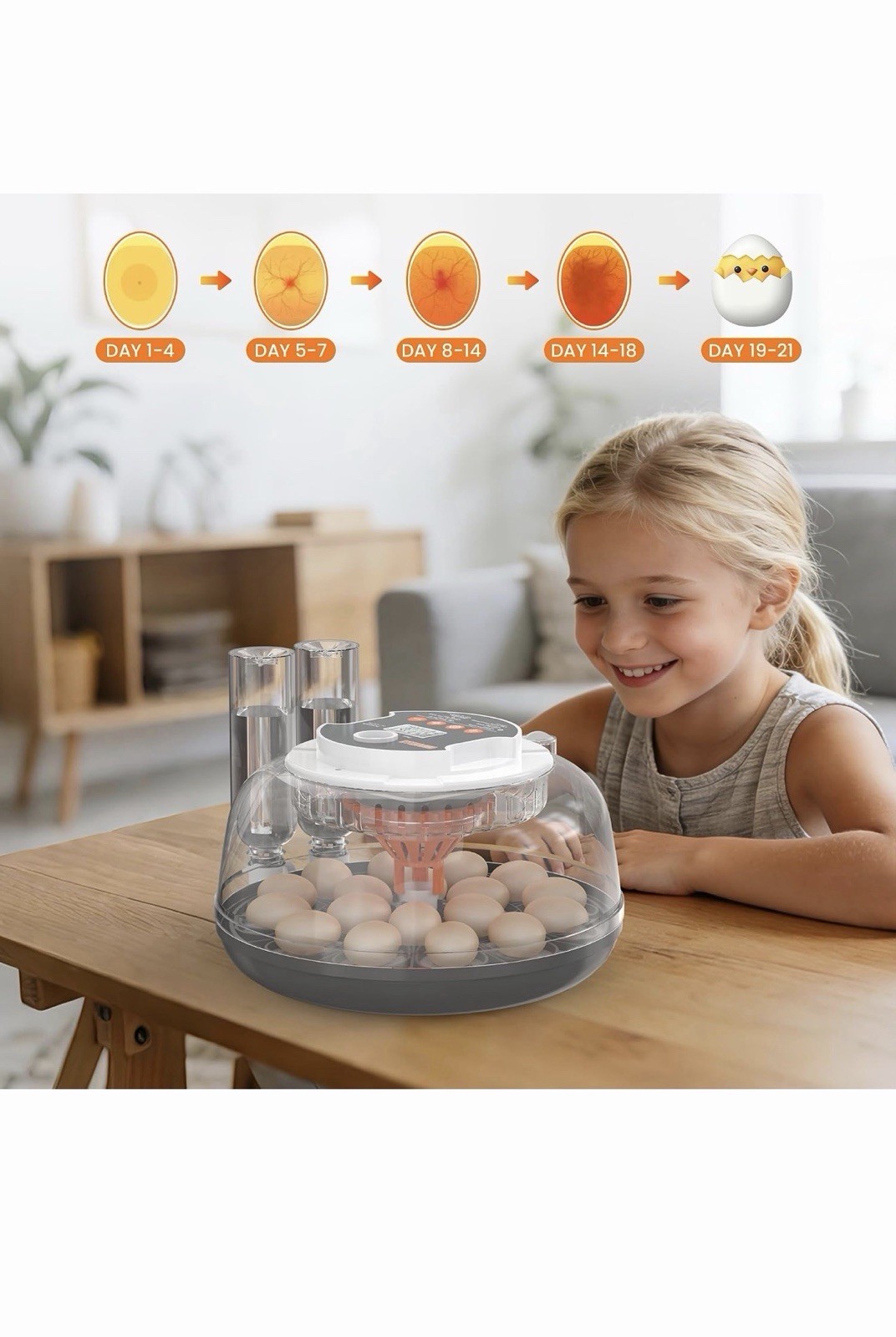INNVELLO 18 Egg Automatic Incubator Turner Humidity Temperature Control