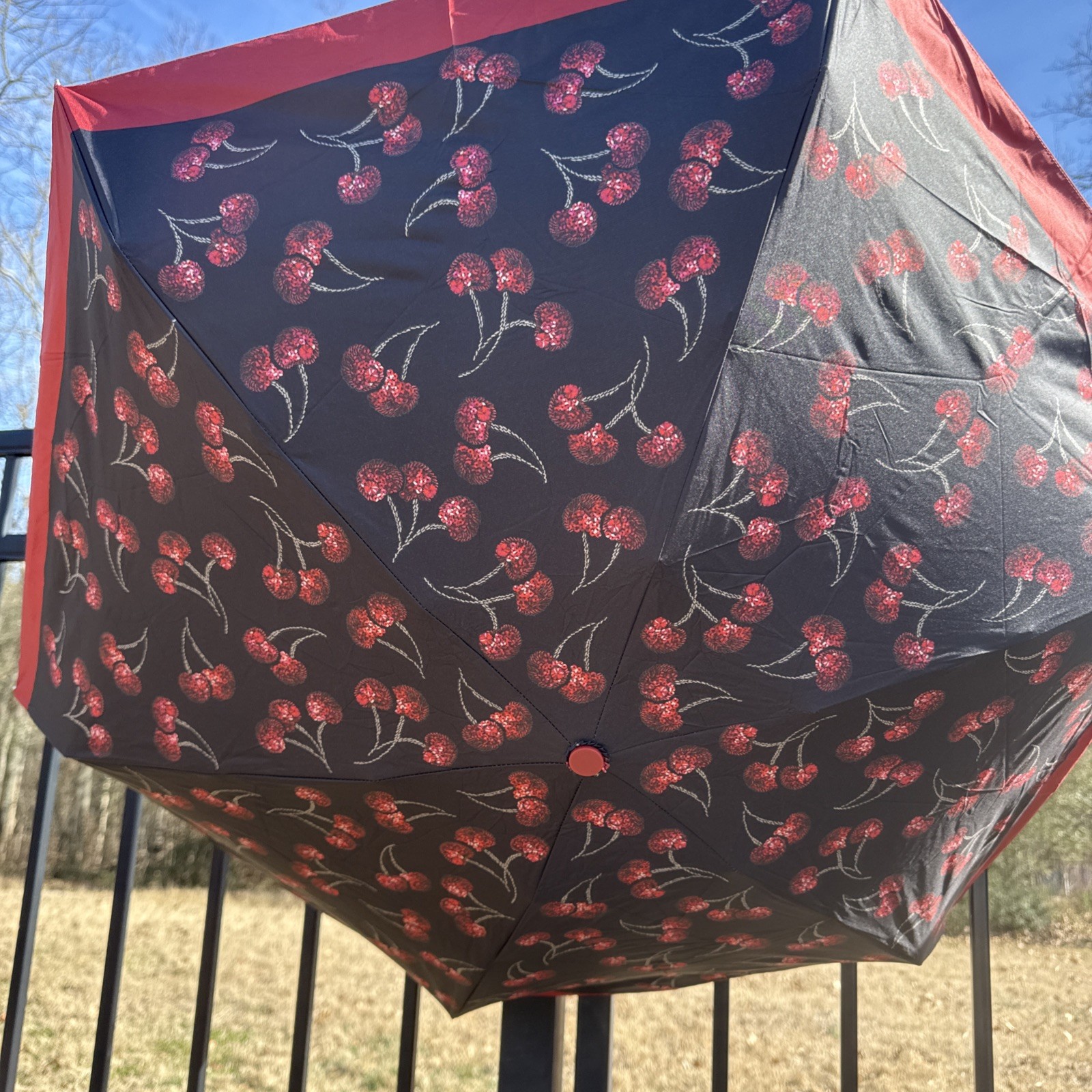 Coach  UV Protection Mini Umbrella With Cherry Print CDF36 Silver/Black Multi