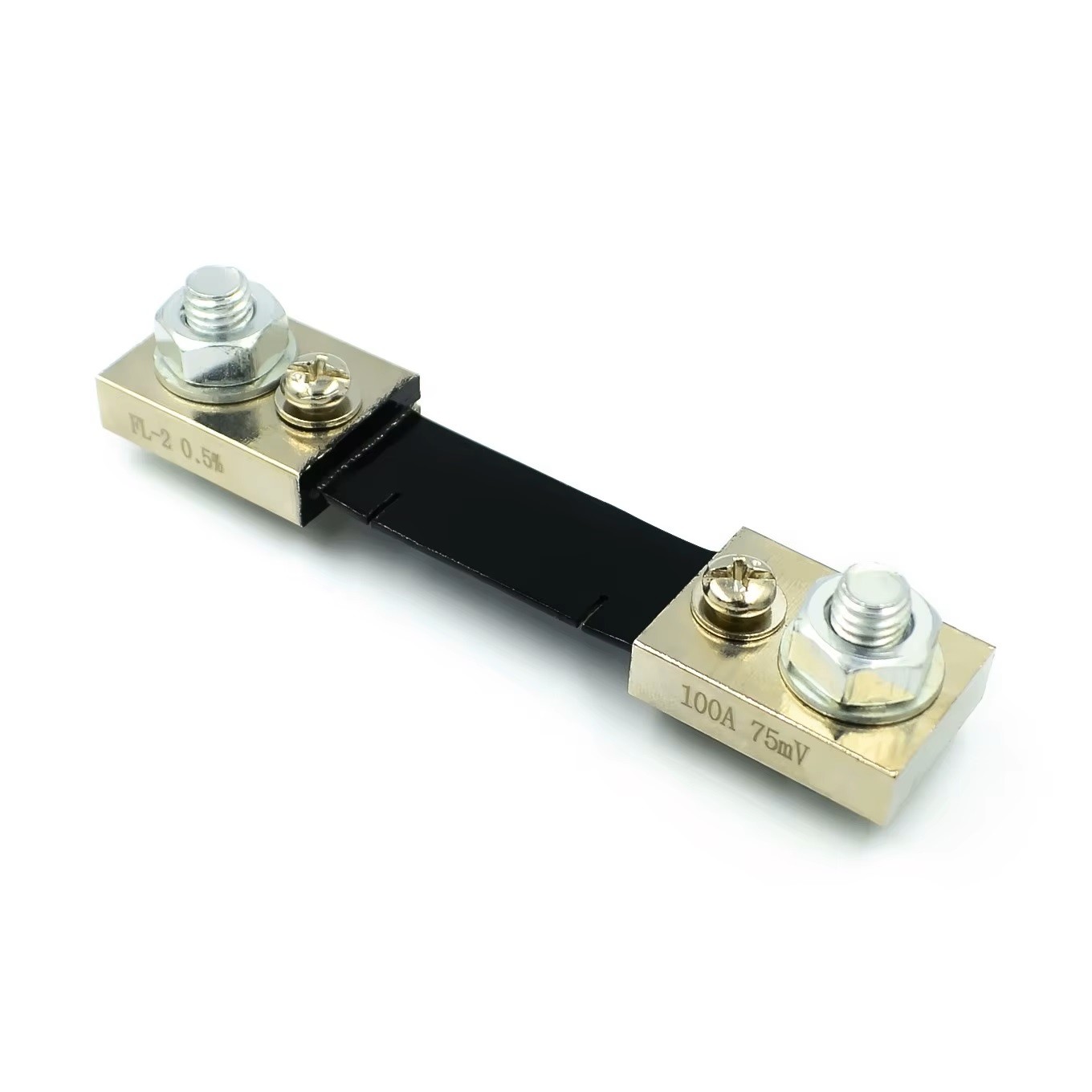 FL-2 External Shunt Resistor 100A 75mV 0.5% Current Shunt Resistor #1