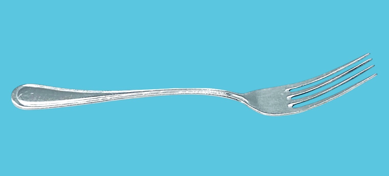 Delco PROVENCE Stainless Silverware 18/10 Glossy Outlined Flatware Dinner Fork
