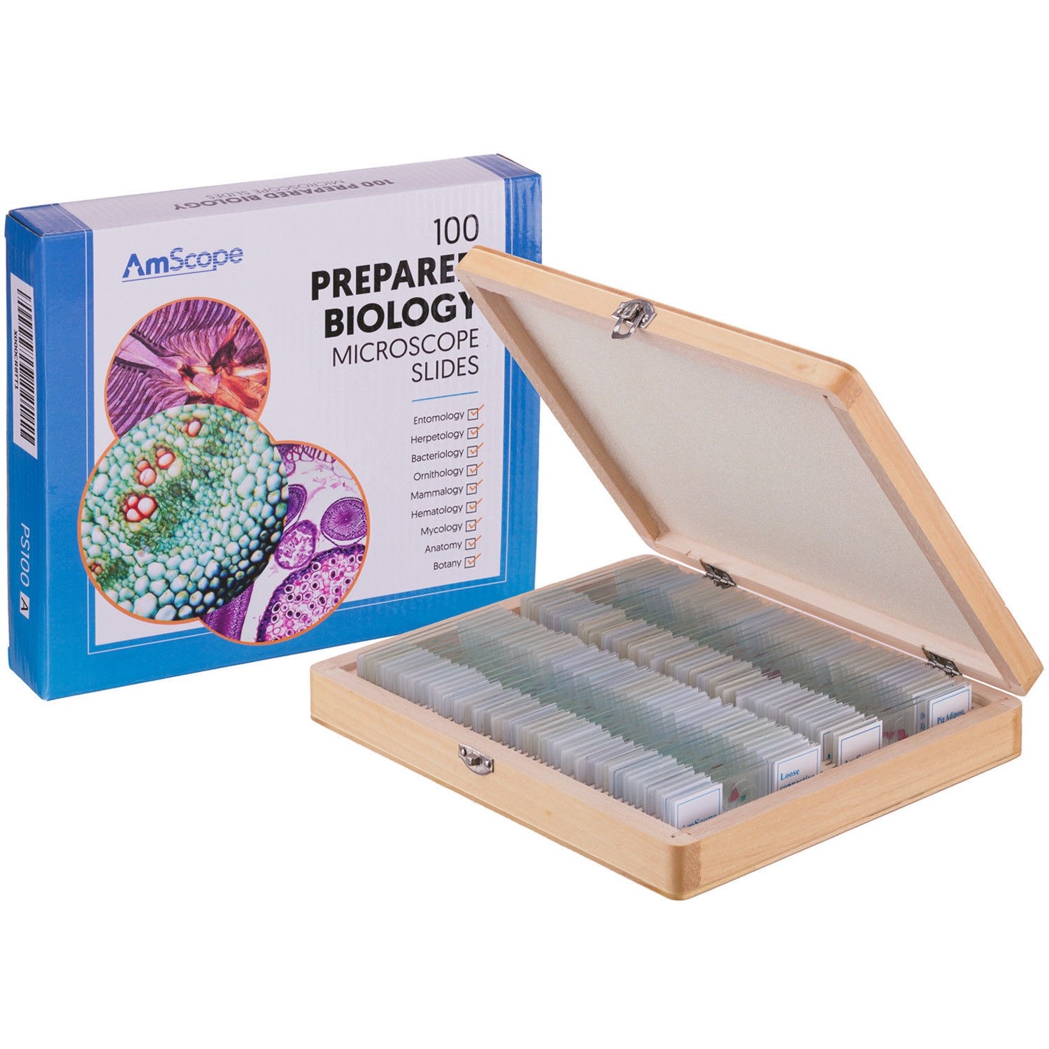 AmScope PS100D 100 Anatomy Botany Prepared Microscope Slides - Set D
