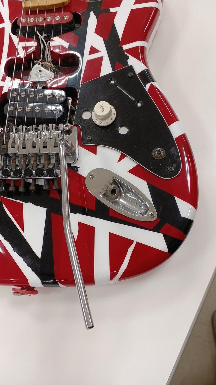 Unknown Stratocaster Type Franken Style