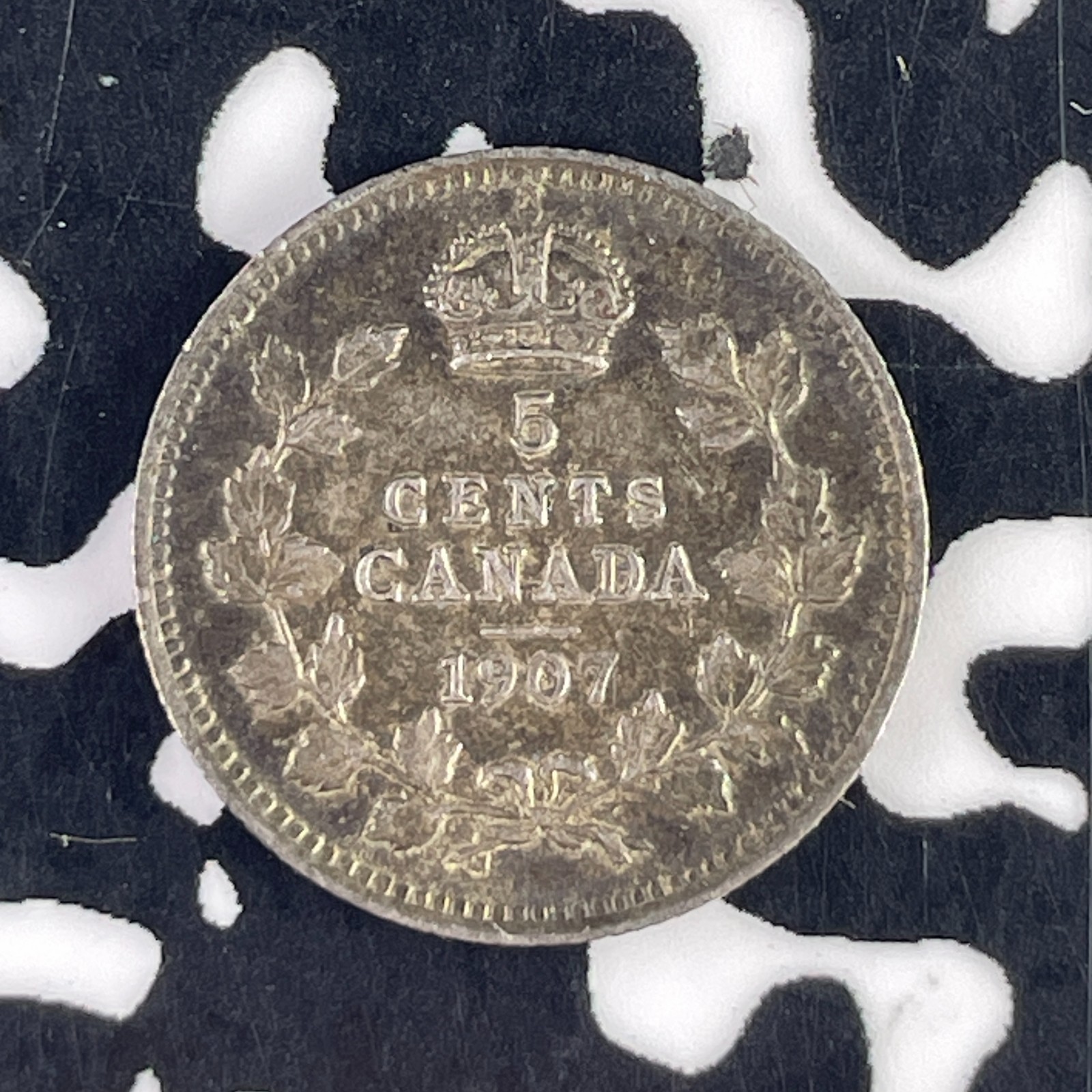 1907 Canada 5 Cents Lot#F2787 Silver! Nice!