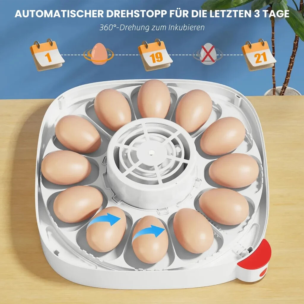 12 Eggs Incubator Automatic Turning Chicken Digital Incubators for Hatching Eggs