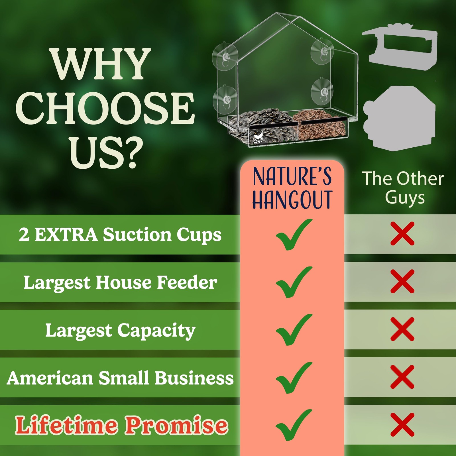 Window Bird Feeder with Strong Suction Cups, Clear 9 Inch,