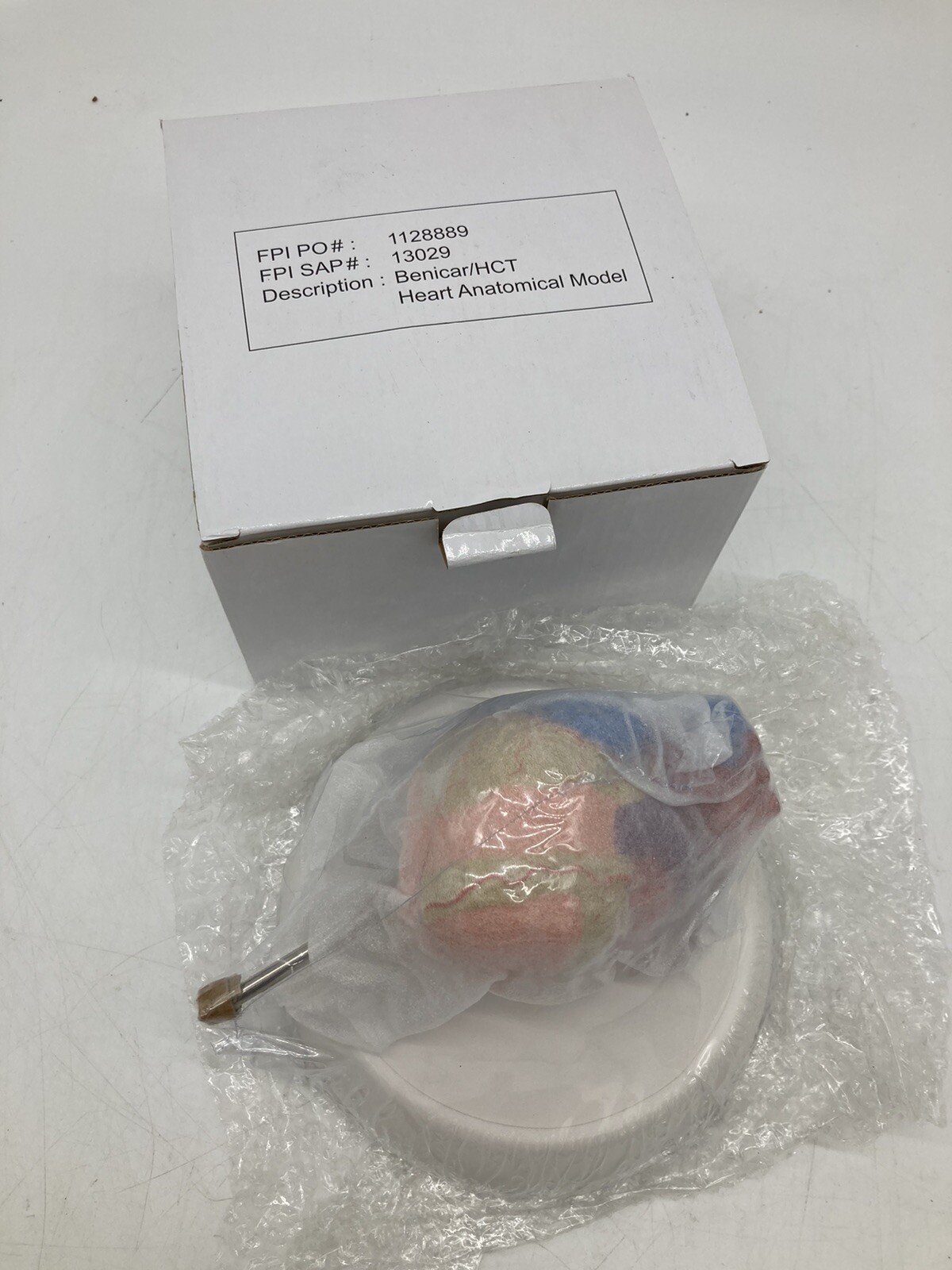 Benicar/HCT Heart Anatomical Model NEW In Plastic