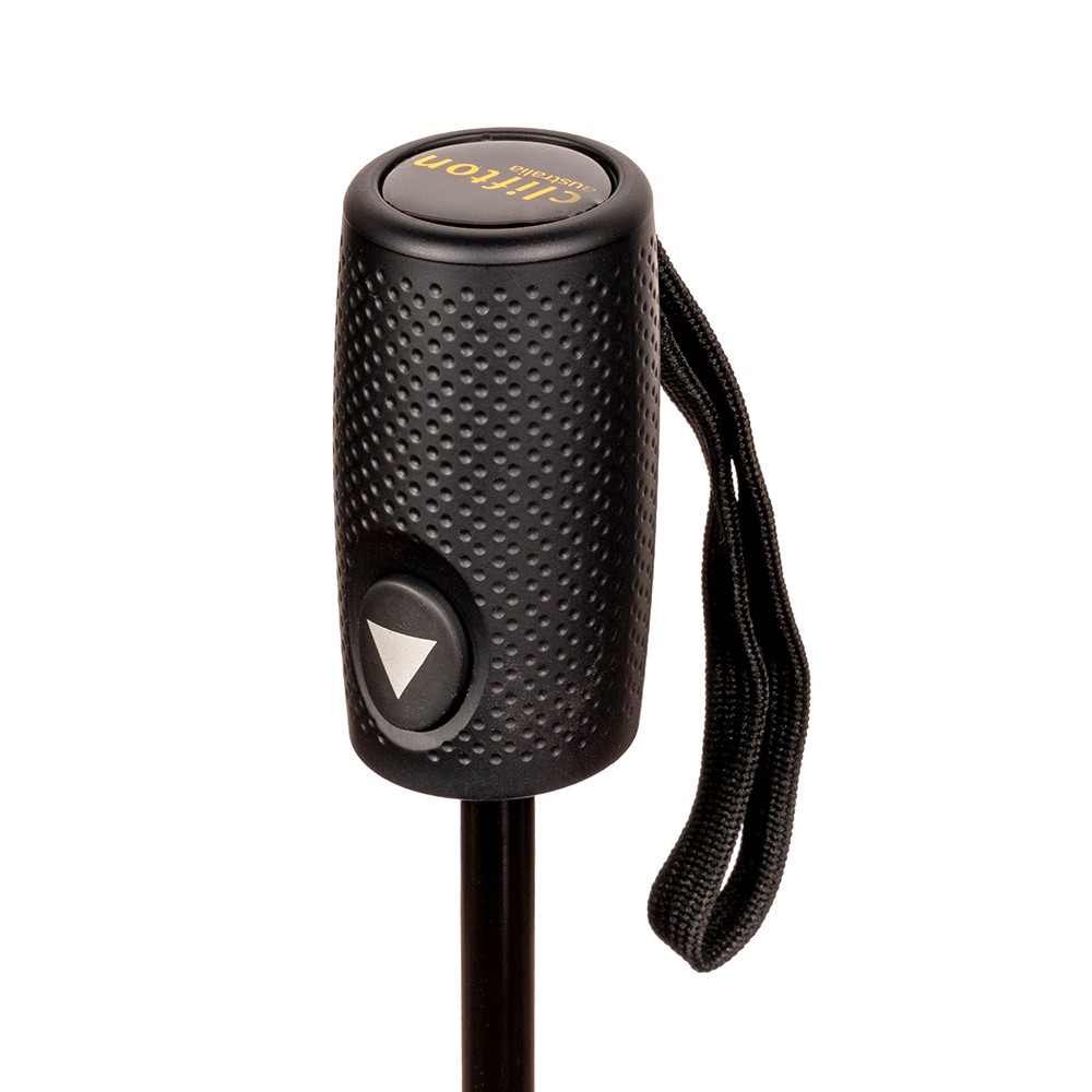 Clifton Auto Open Umbrella Iris