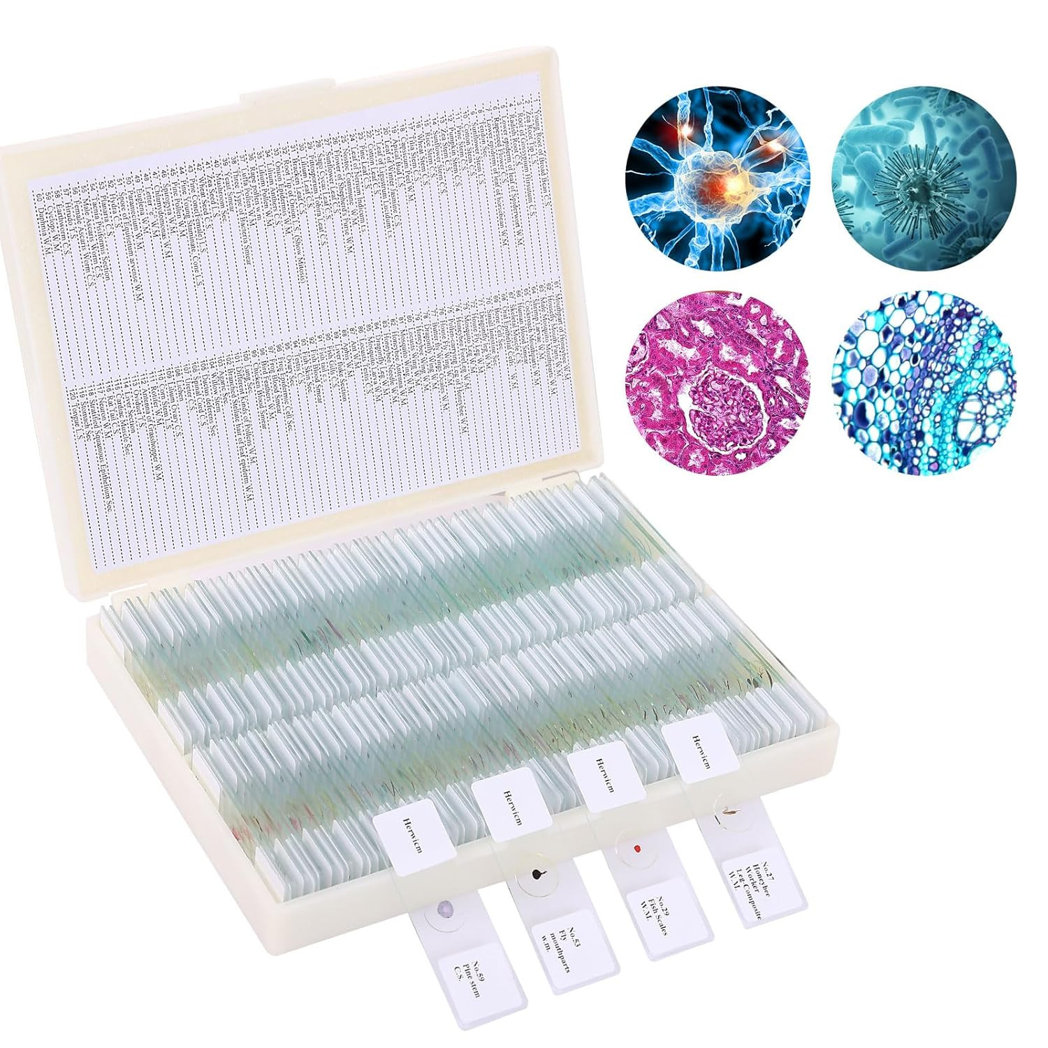120 Microscope Slides with Specimens, Plant, Insect, Animal, Algae Slide Set for