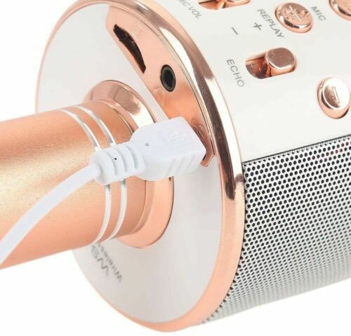 Wireless Karaoke Microphone with Built-in Portable Bluetooth Speaker