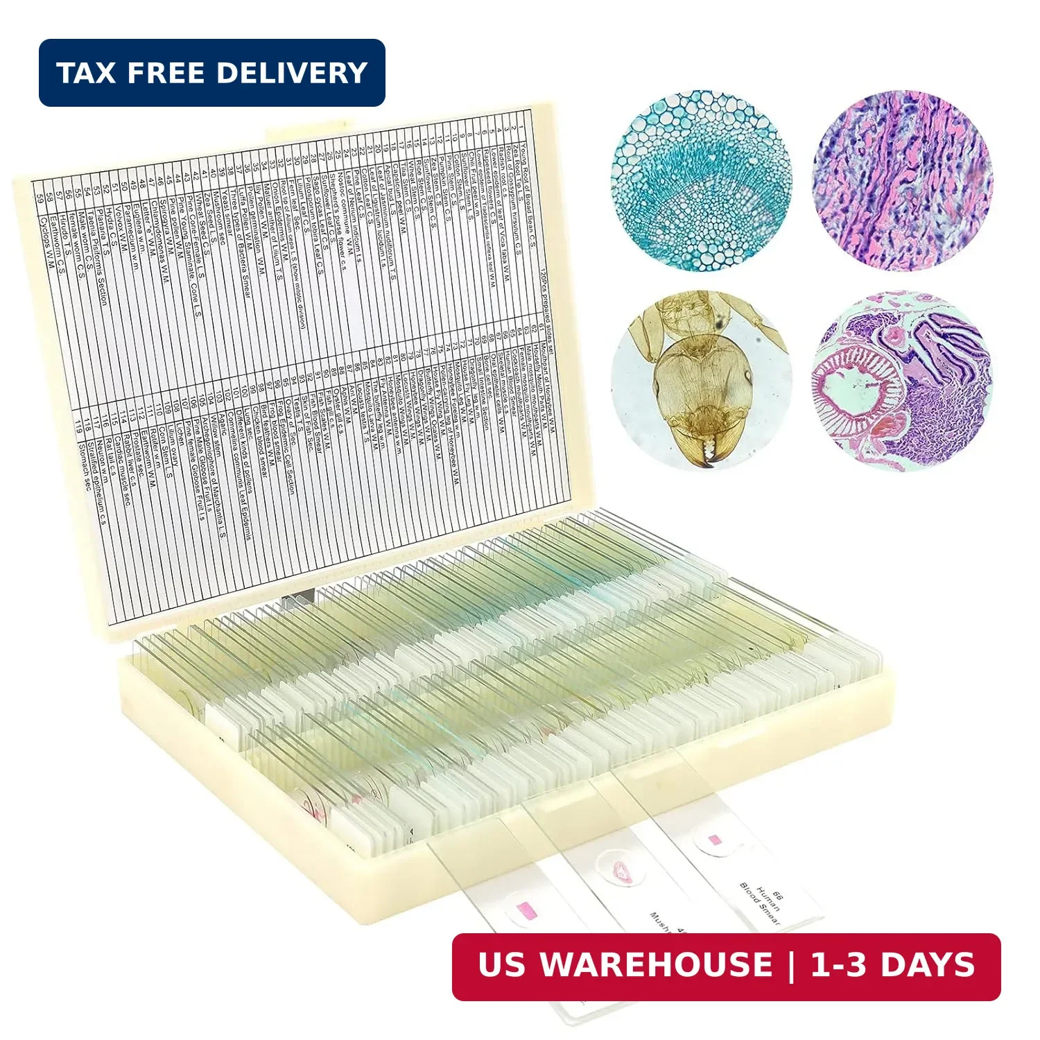 120 Microscope Slides with Specimens for Kids and Adults, Prepared Slides for Mi