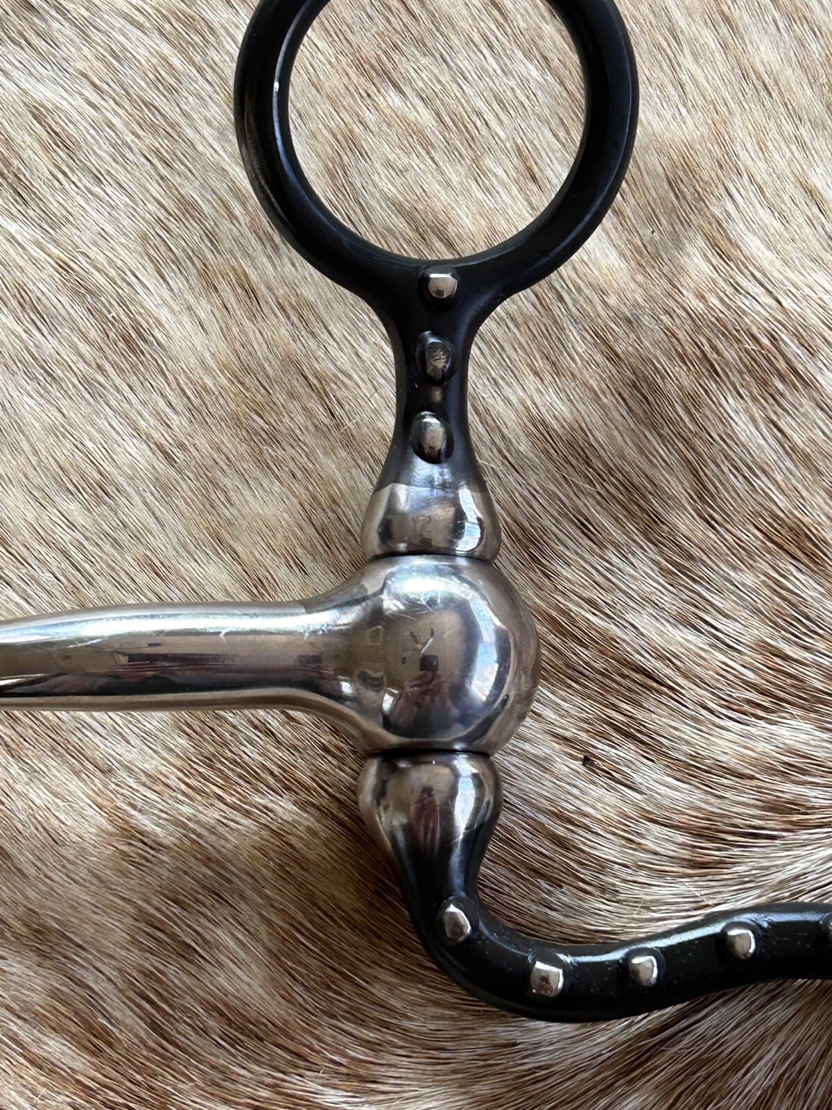 Short Shank 5” Dogbone Mouth Copper Roller Snaffle Horse Bit