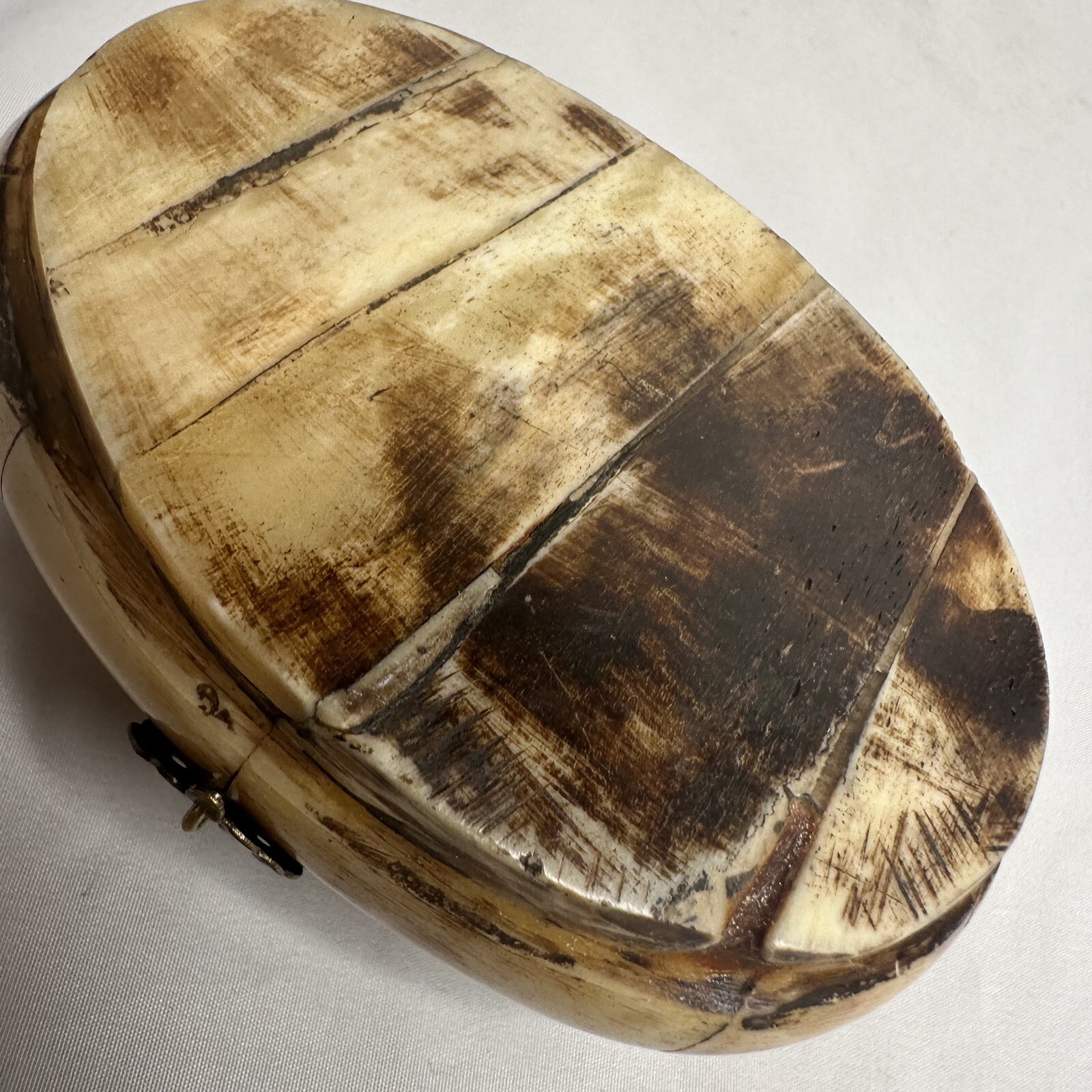 Camel Trinket Box