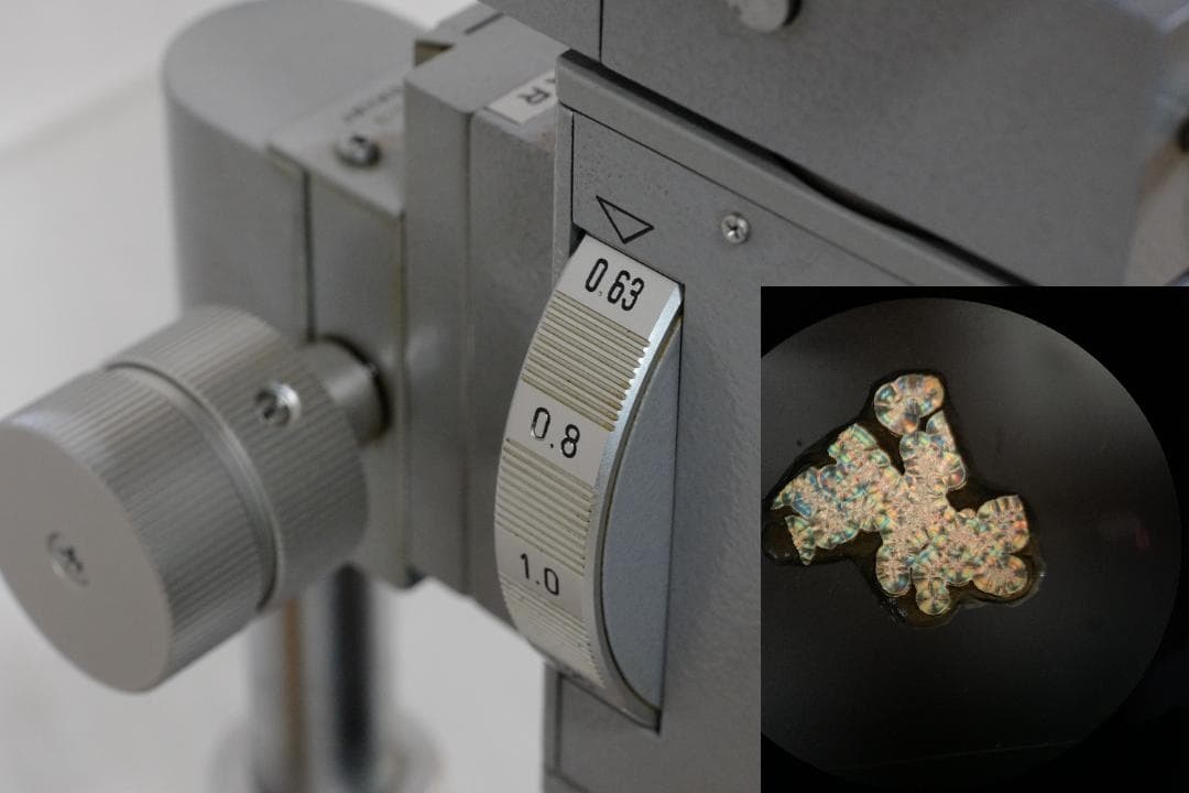 microscope antique collectible Leitz's "Elber" Stereo Polarizing Microscope