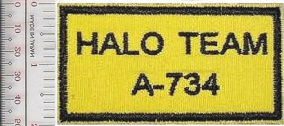Special Forces Freefall US Army 7th S F Gp HALO Team ODA-734 Vel NO TARIFF