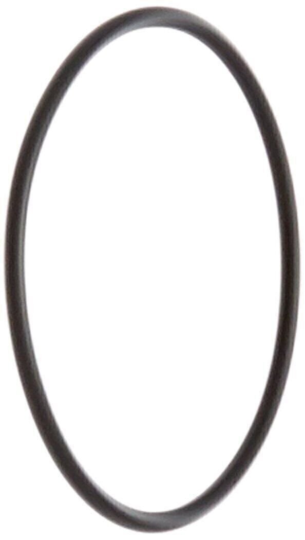 Pentair 192323 O-Ring Replacement Pool/Spa D.E. Filter and Pump