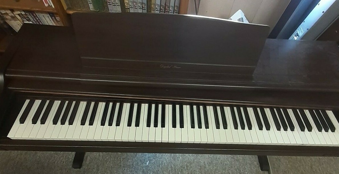 Technics Digital Piano Keys (and weights if desired) - SELLING INDIVIDUALLY !!!