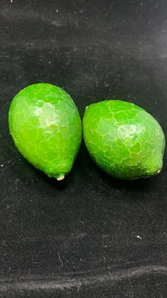 FAUX AVOCADOS IN BAG.