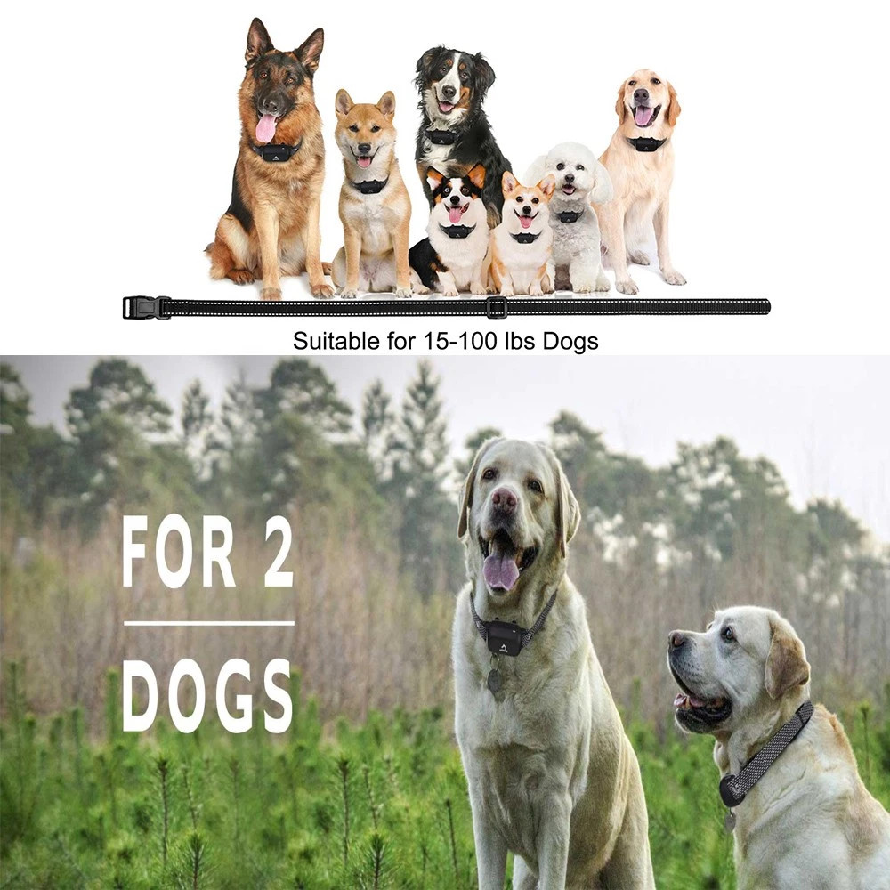 1000Ft Remote Dog Training Shock Collar Waterproof Rechargeable Dog Collar