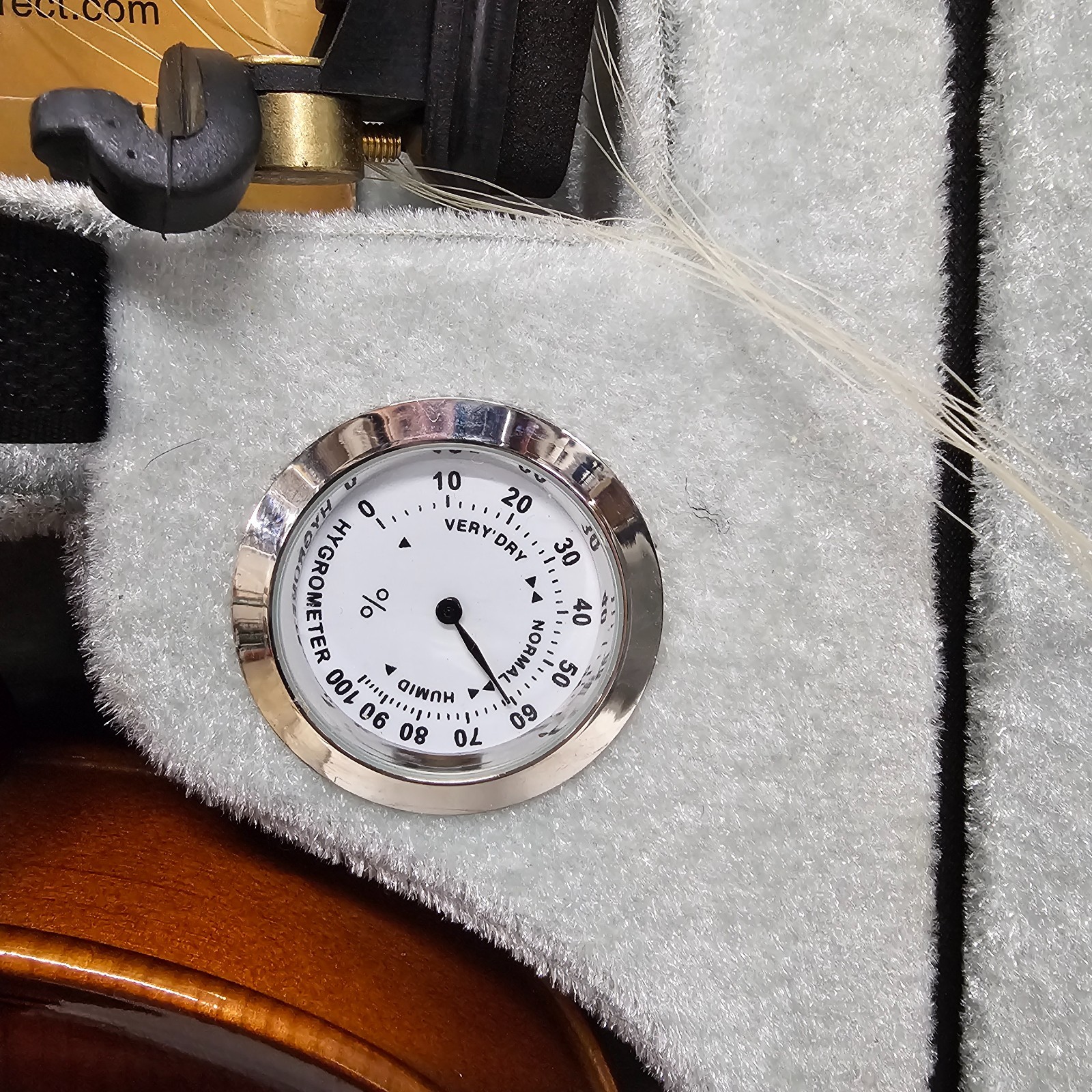 Student Violin (missing label needs strings) 4/4