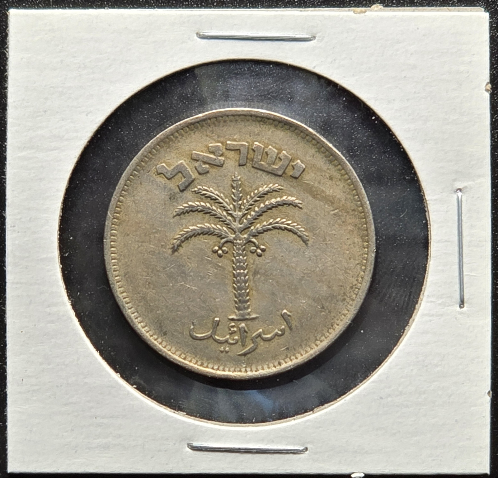 Israel 100 Pruta Coin 1954 Palm Tree Design KM#20 Vintage Israeli Coin