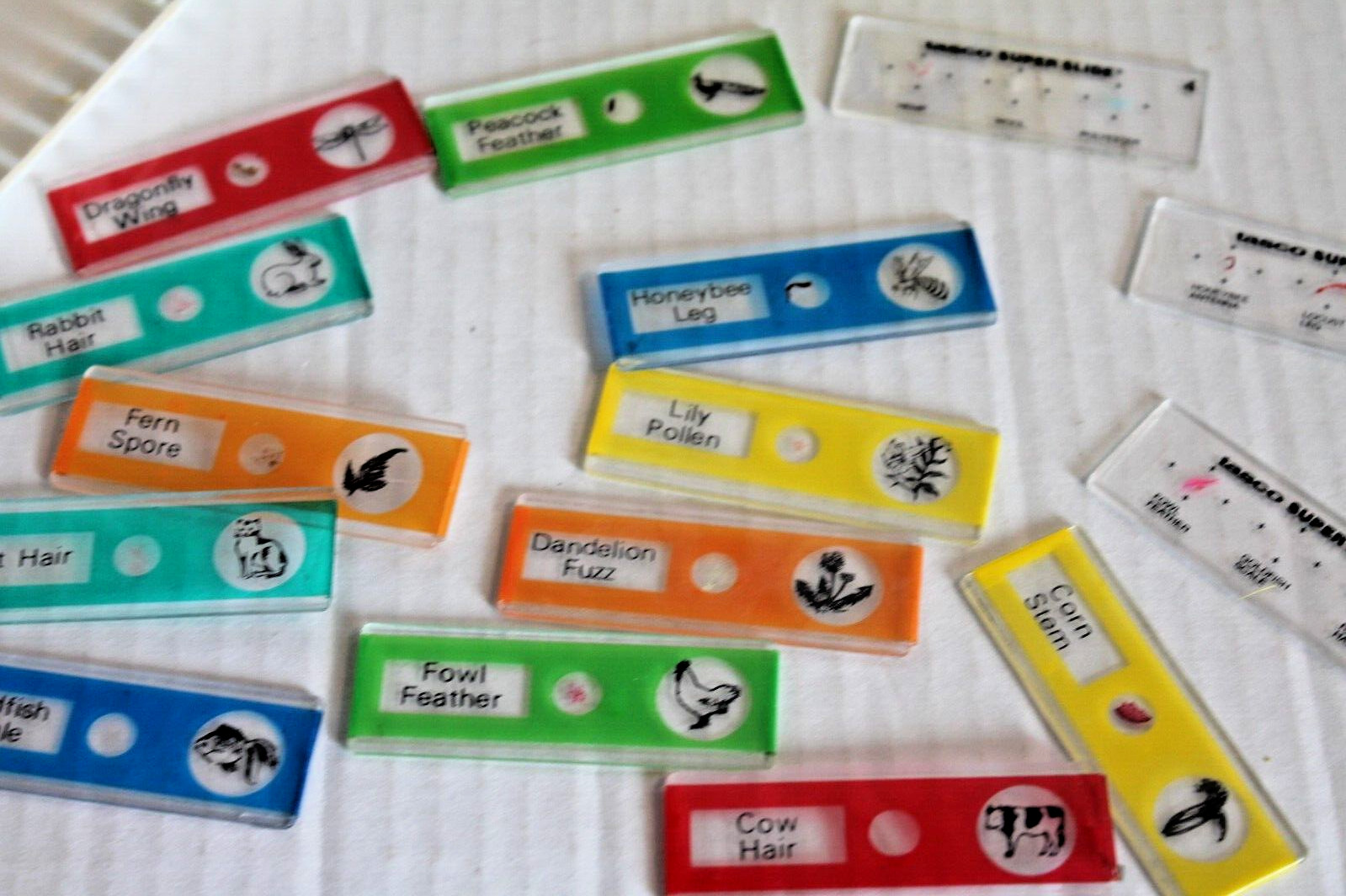LOT of Science Lab Microscope Items for KIds Slides & Tools