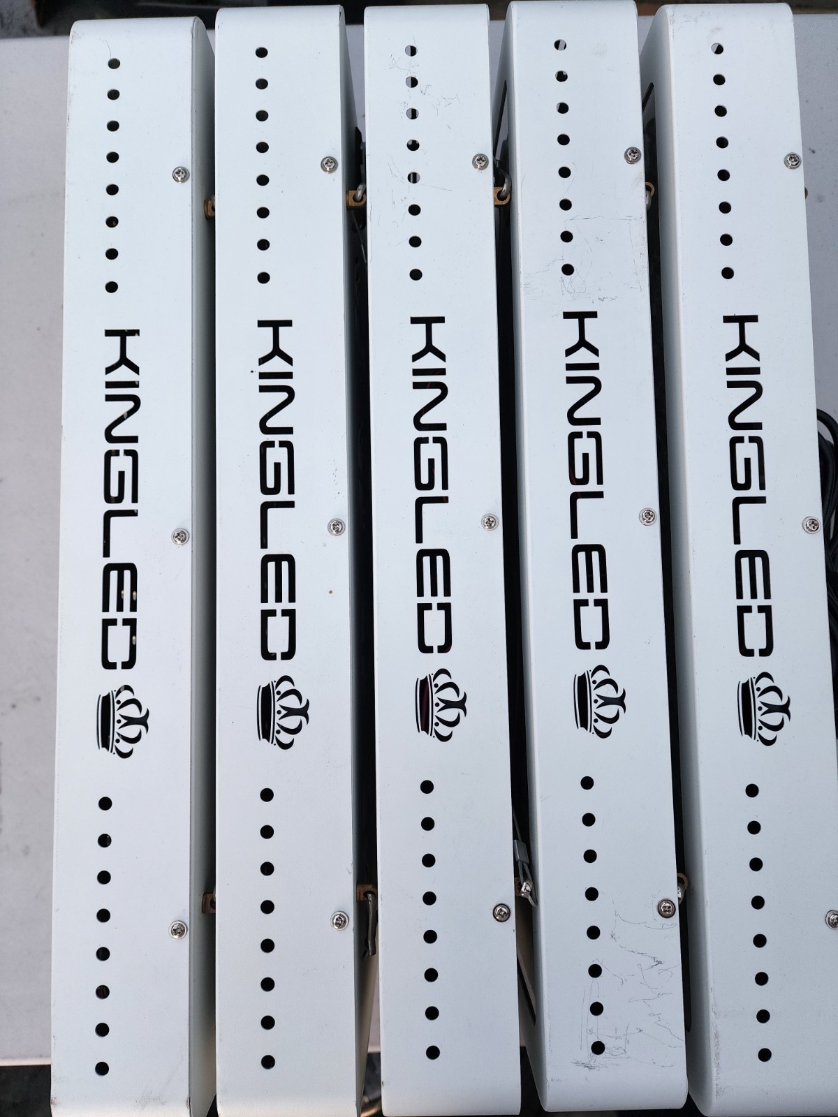 LED Kingsled Grow Lights for Indoor