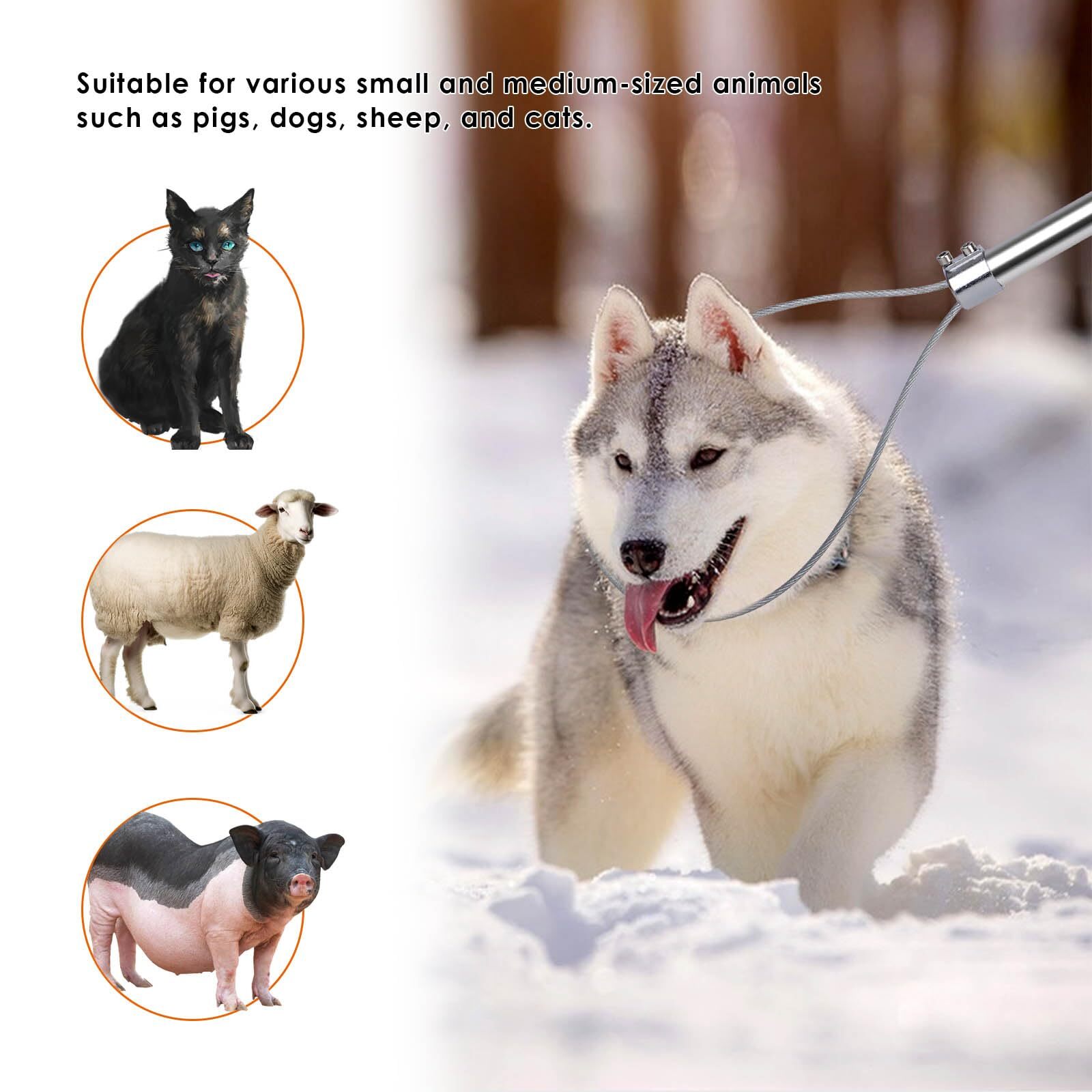 Dog Catcher Pole Animal Control Pole Stainless Steel Pig Holder Catcher Cat C...