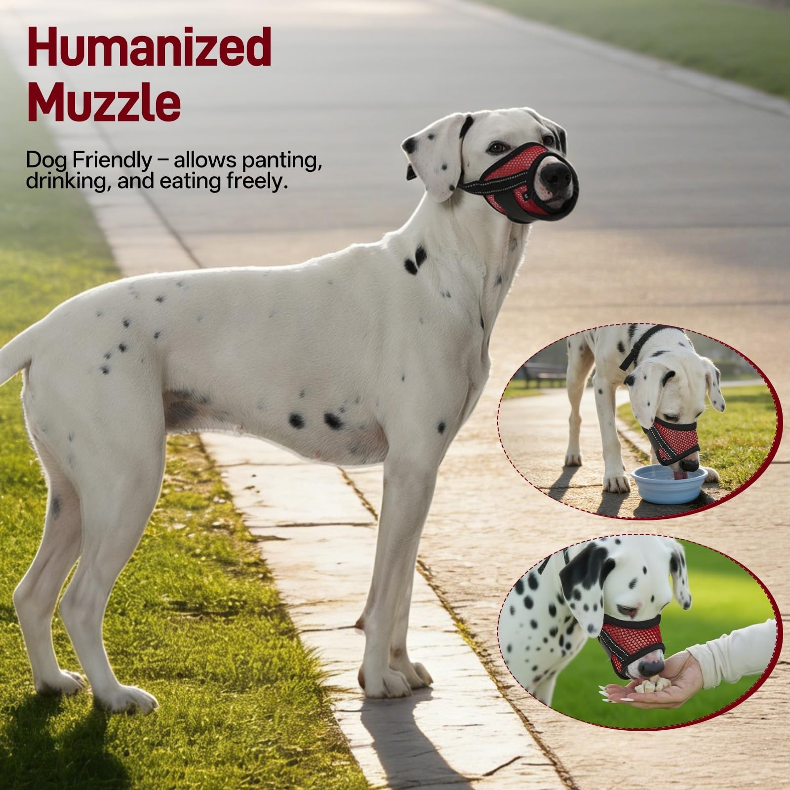 2-Pack Soft Air Mesh Dog Muzzles - Anti-Biting, Barking, Chewing, Adjustable for