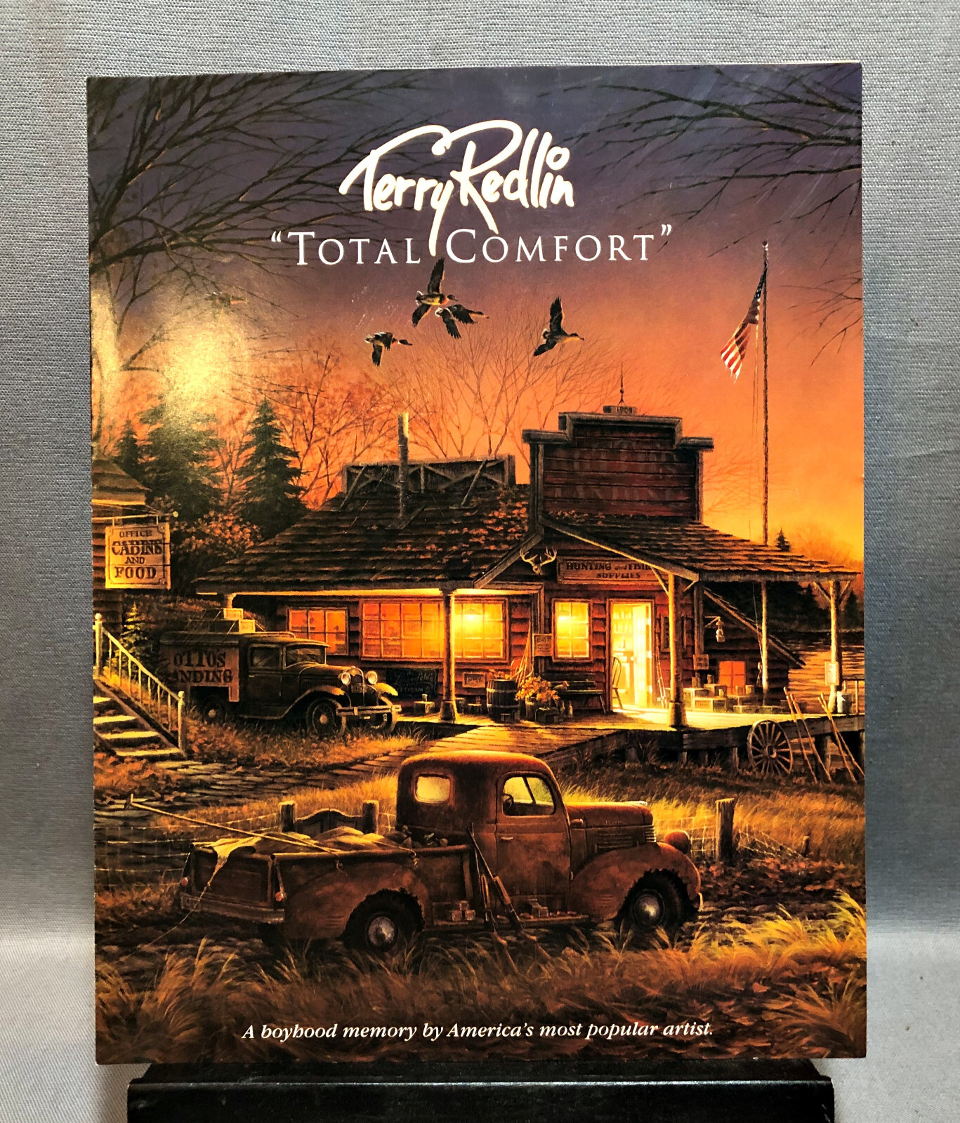 Terry Redlin Total Comfort Sales Brochure Leaflet 1995