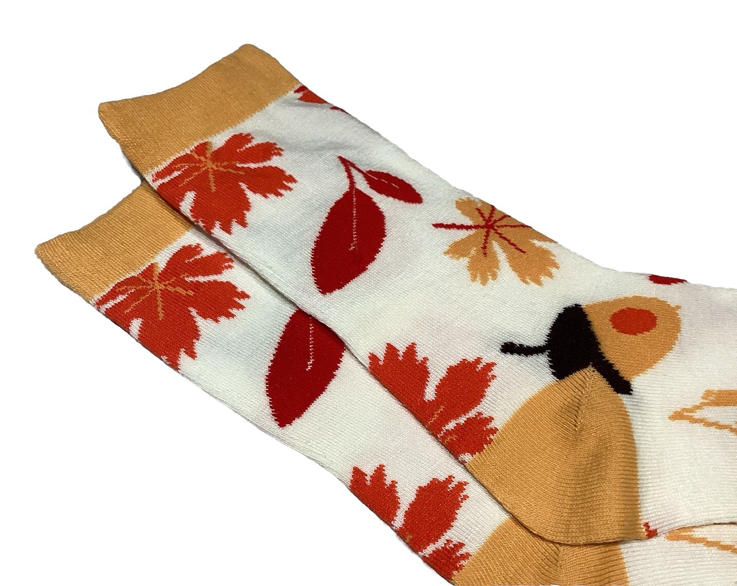 Fall Leaves Acorns Fall Socks for Women Cute Socks Novelty Socks Fun Socks