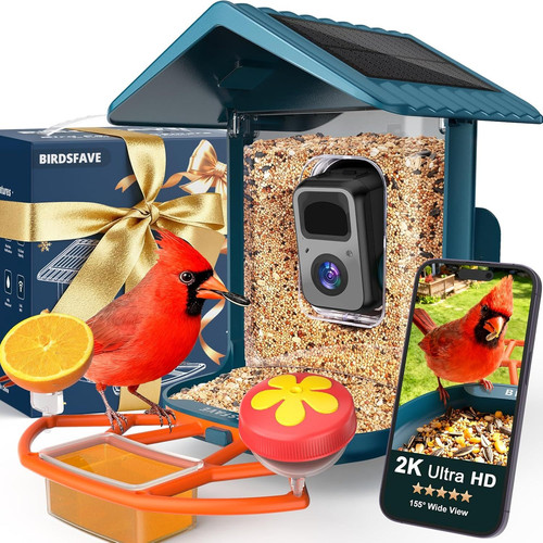 Bird Feeder with Camera Solar Powered, 2K Live Arrival Alert Auto Blue