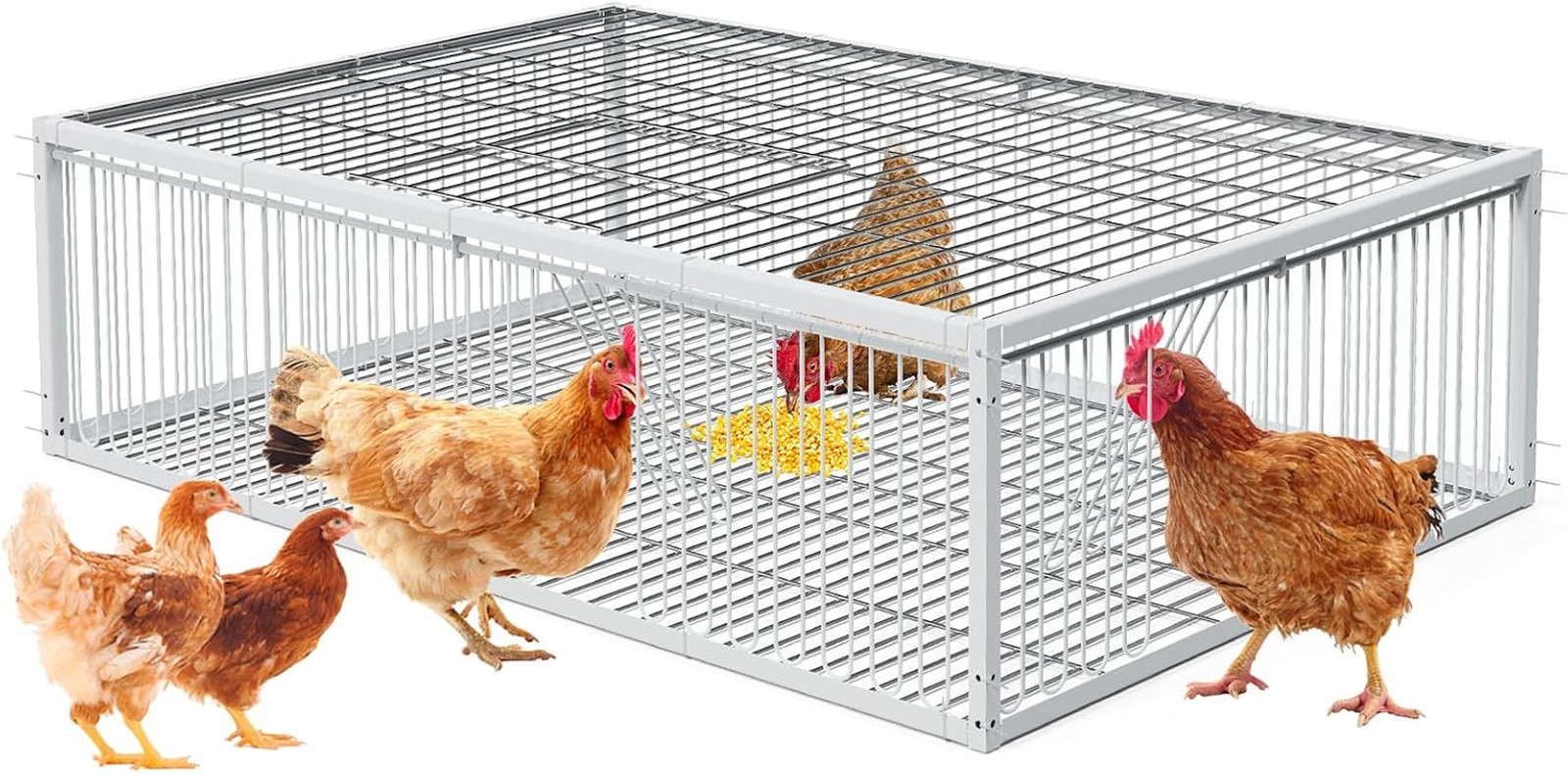 Trap Cage Chicken Trap with Escape-Proof Pigeon Bird Traps for Small Birds Foldi