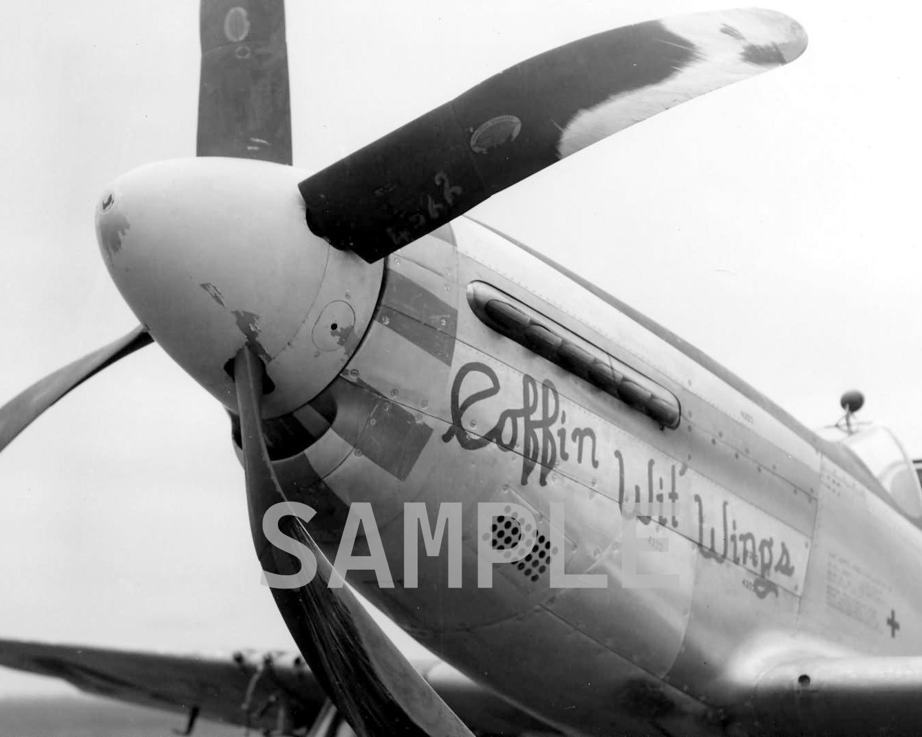 Damaged North American P-51 Mustang World War II WWII WW2 8x10 Photo 346c