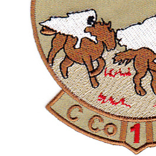 1st Battalion 1st Aviation Regiment C Company Patch