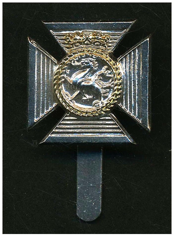 British Army Duke of Edinburgh's Royal Regiment Anodized Badge   L295
