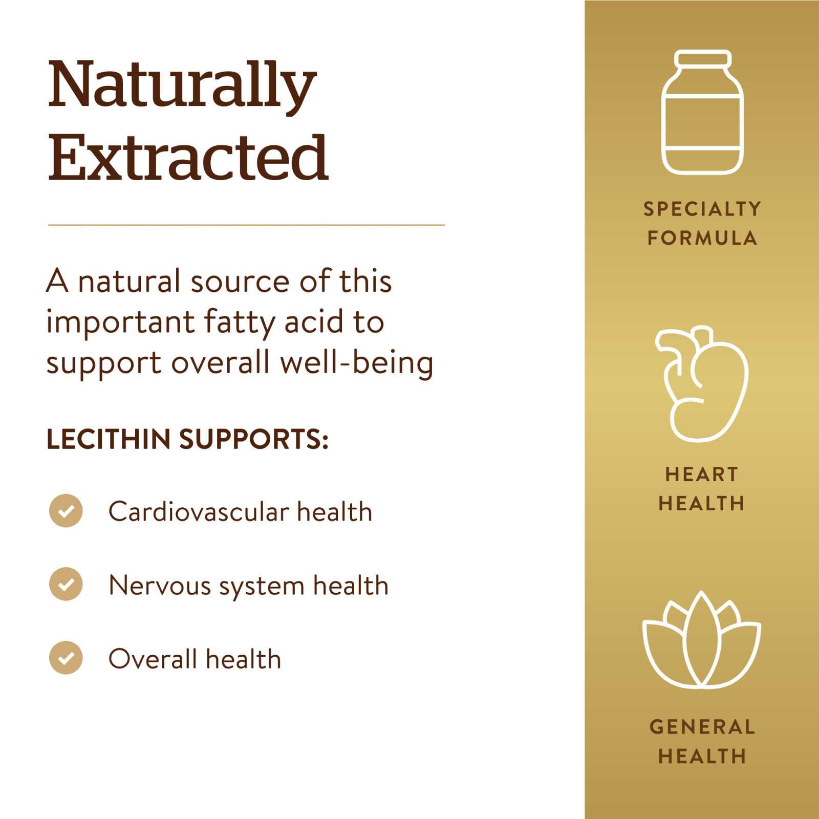 Solgar Lecithin 1360 mg 100 Softgels